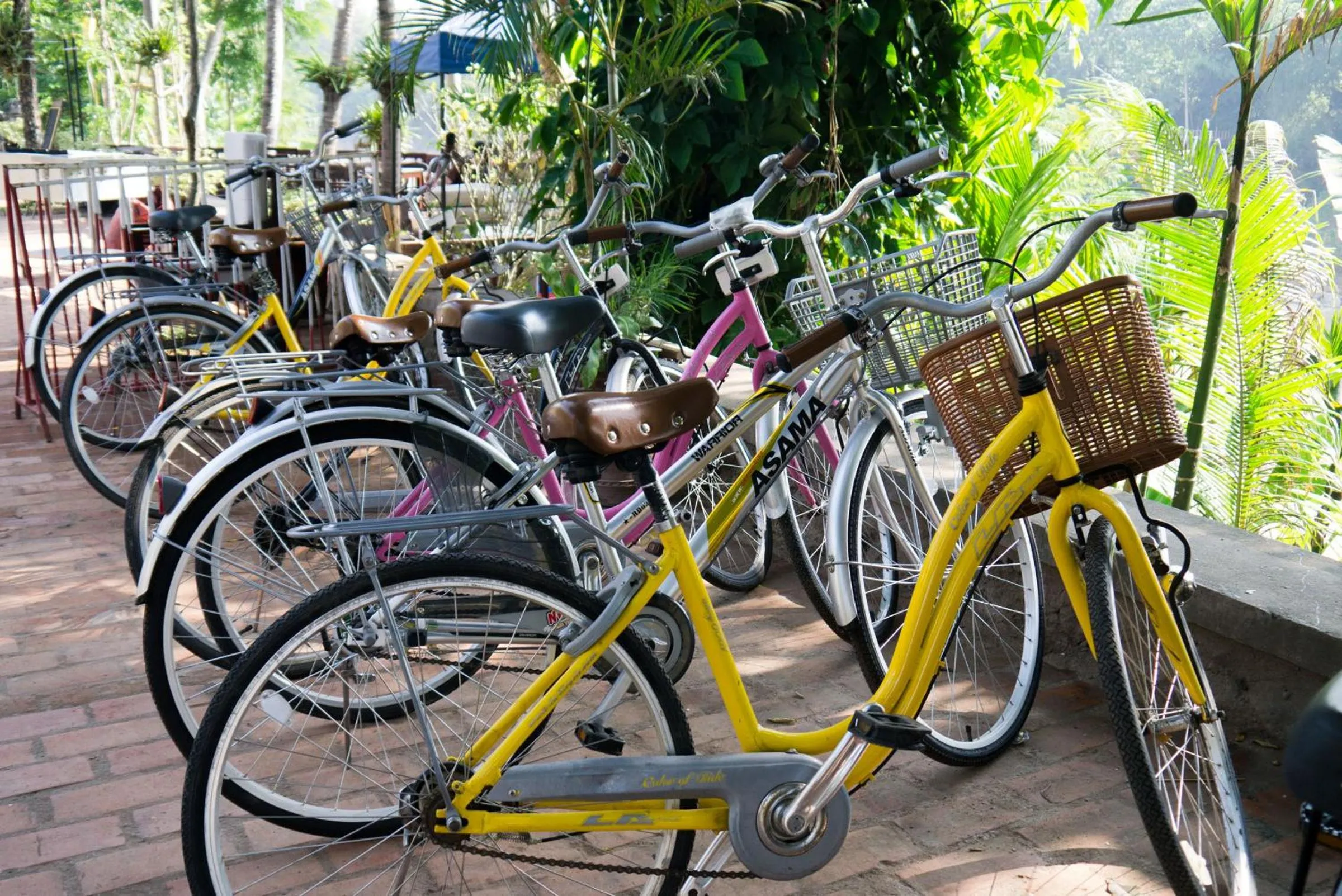 Cycling in Burasari Heritage Luang Prabang