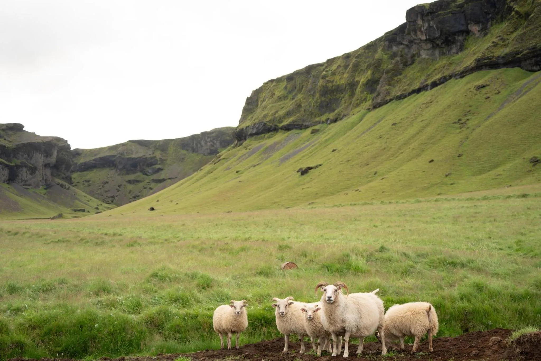 Property building in Adventure Hotel Geirland