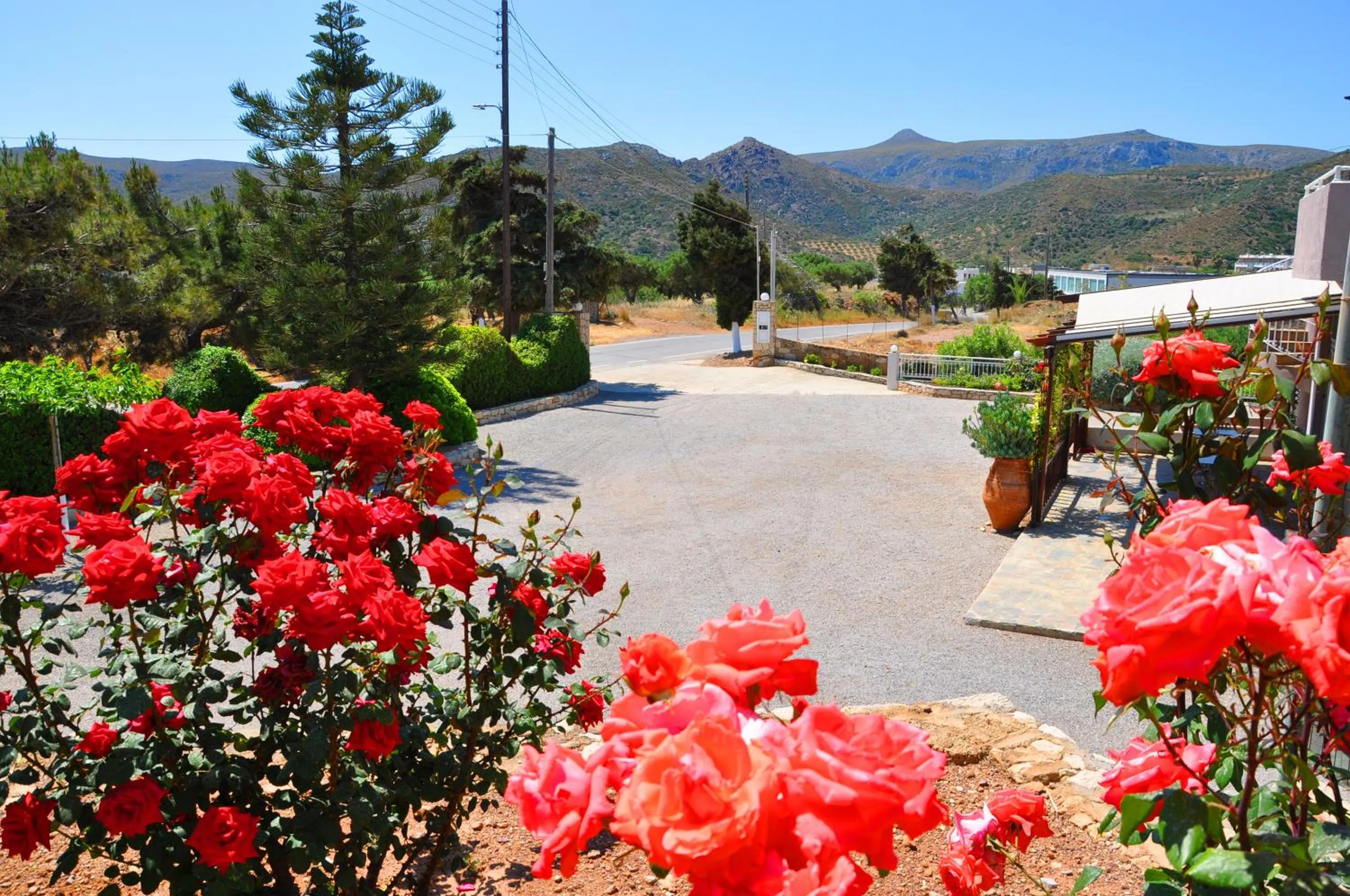 Lagos Studios & Apartments