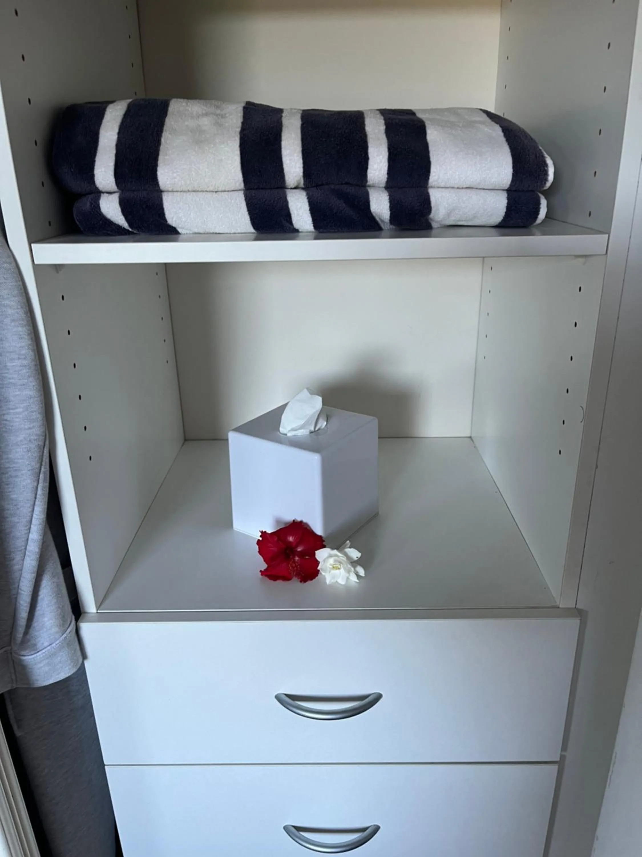 Robyn's Nest - Bed and Breakfast