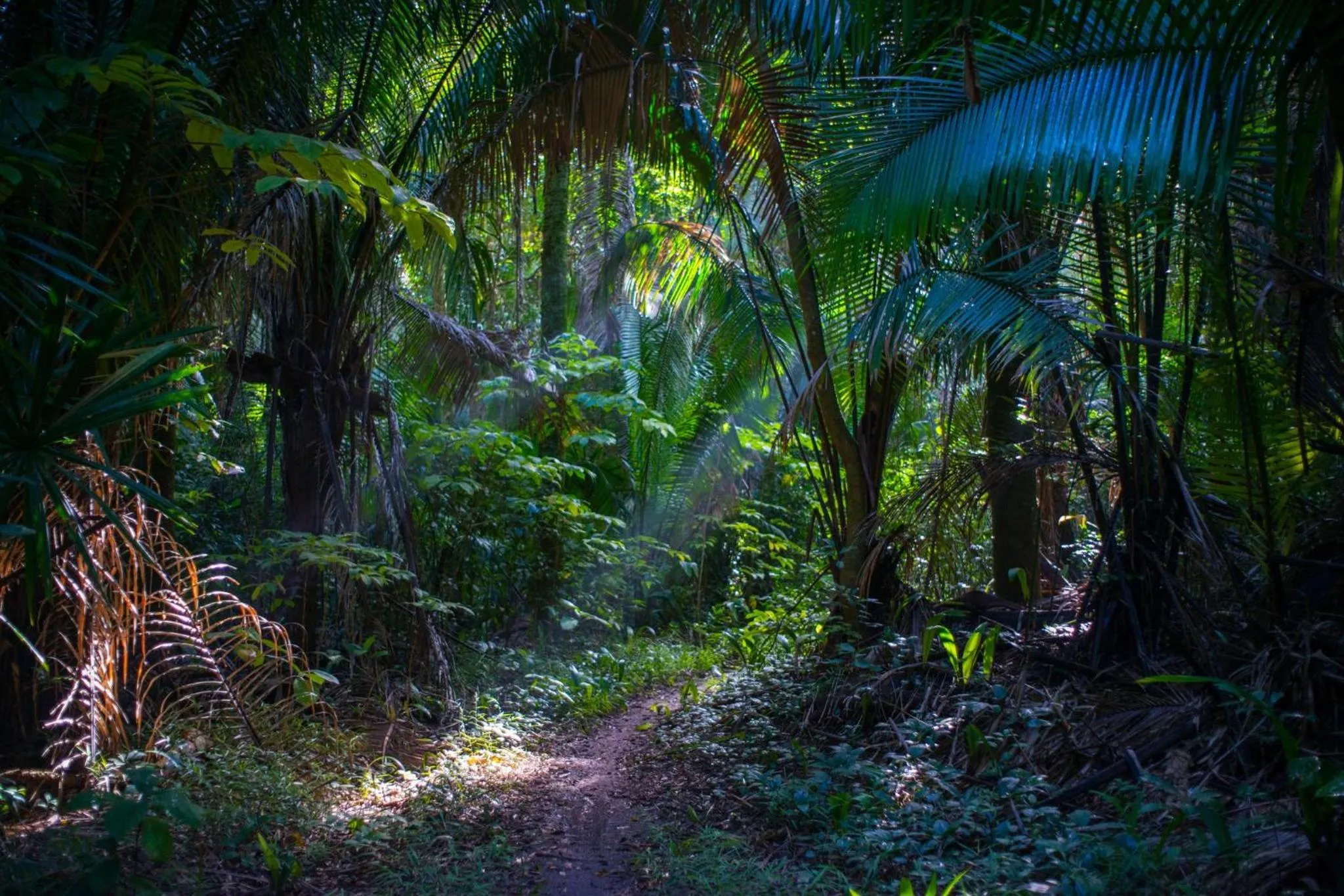Fitness centre/facilities in The Explorean Selva Maya Kohunlich