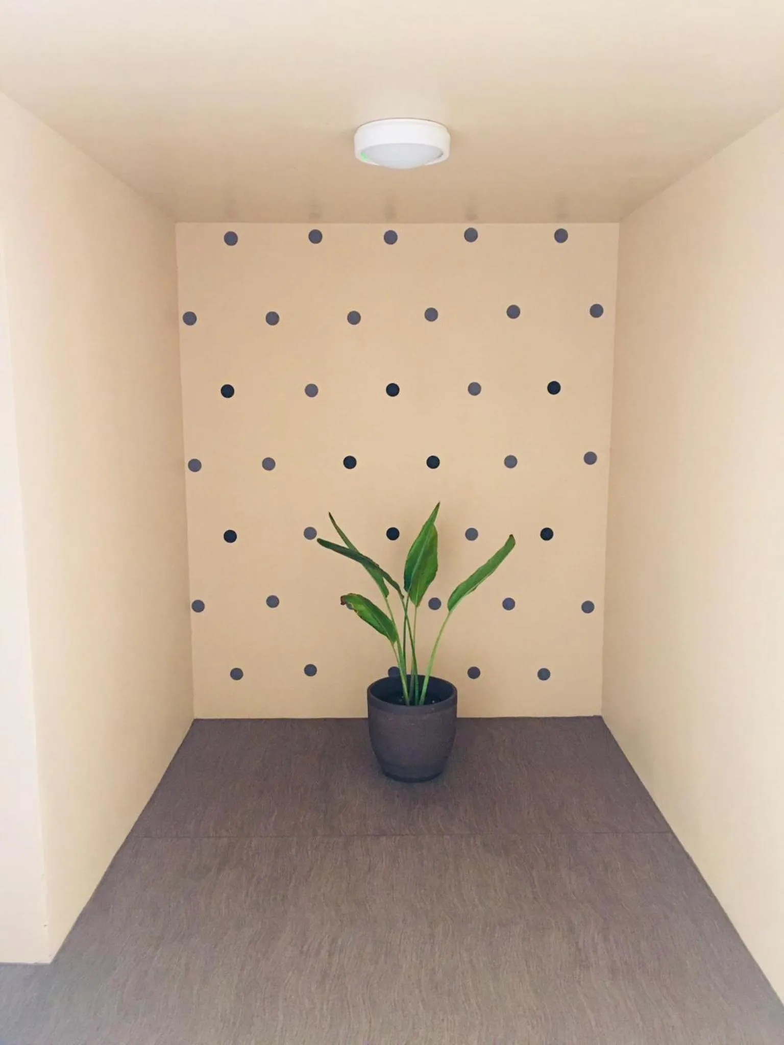 Area and facilities in Hotel Miyakojima