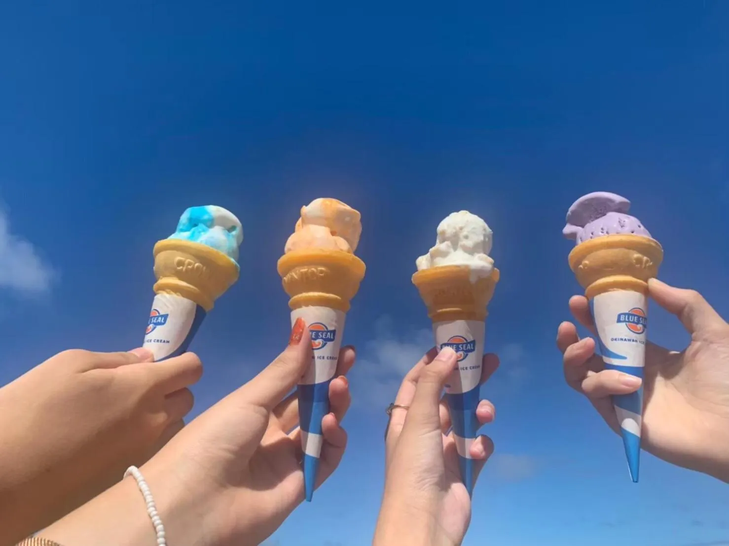 Natural landscape in Hotel Miyakojima