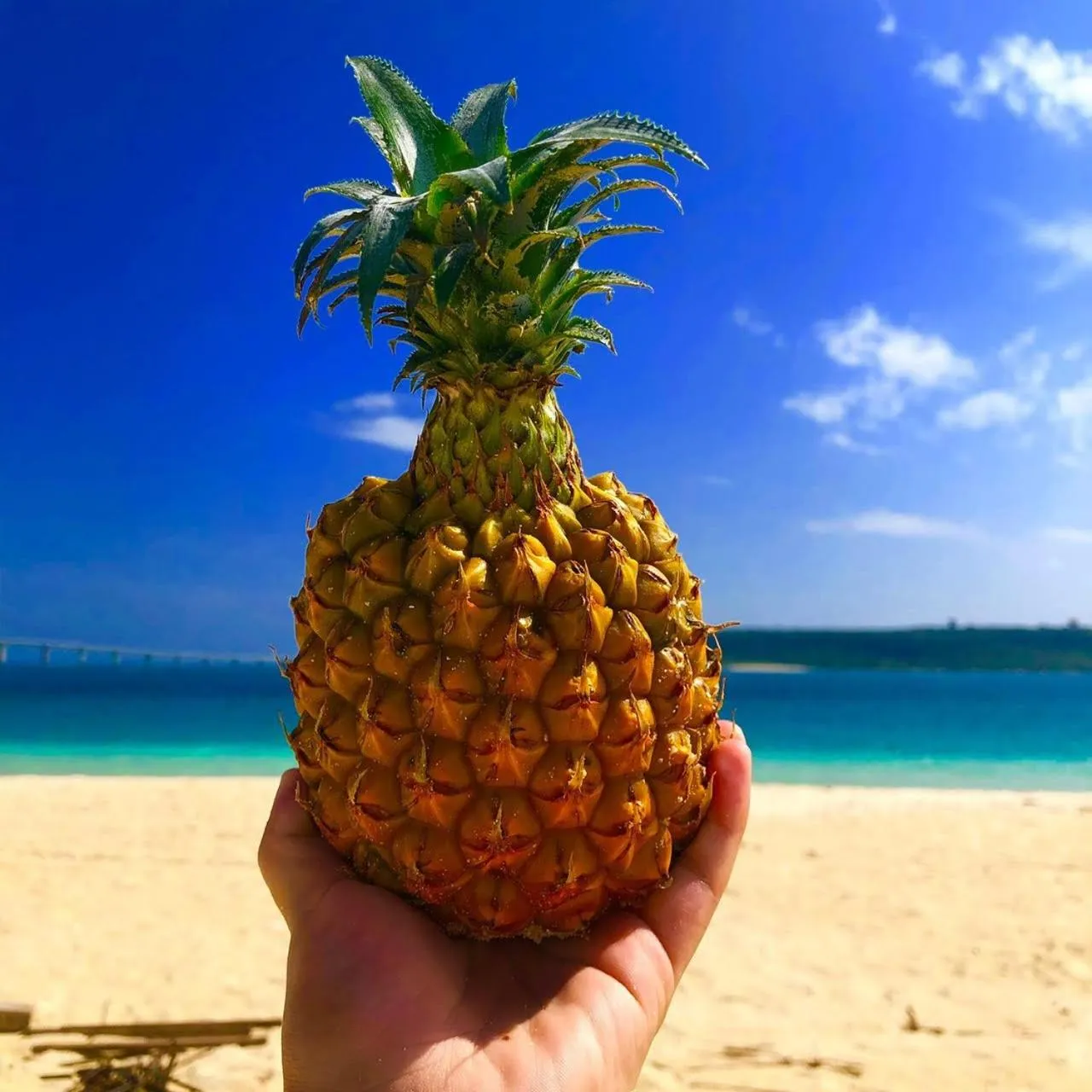 Beach in Hotel Miyakojima