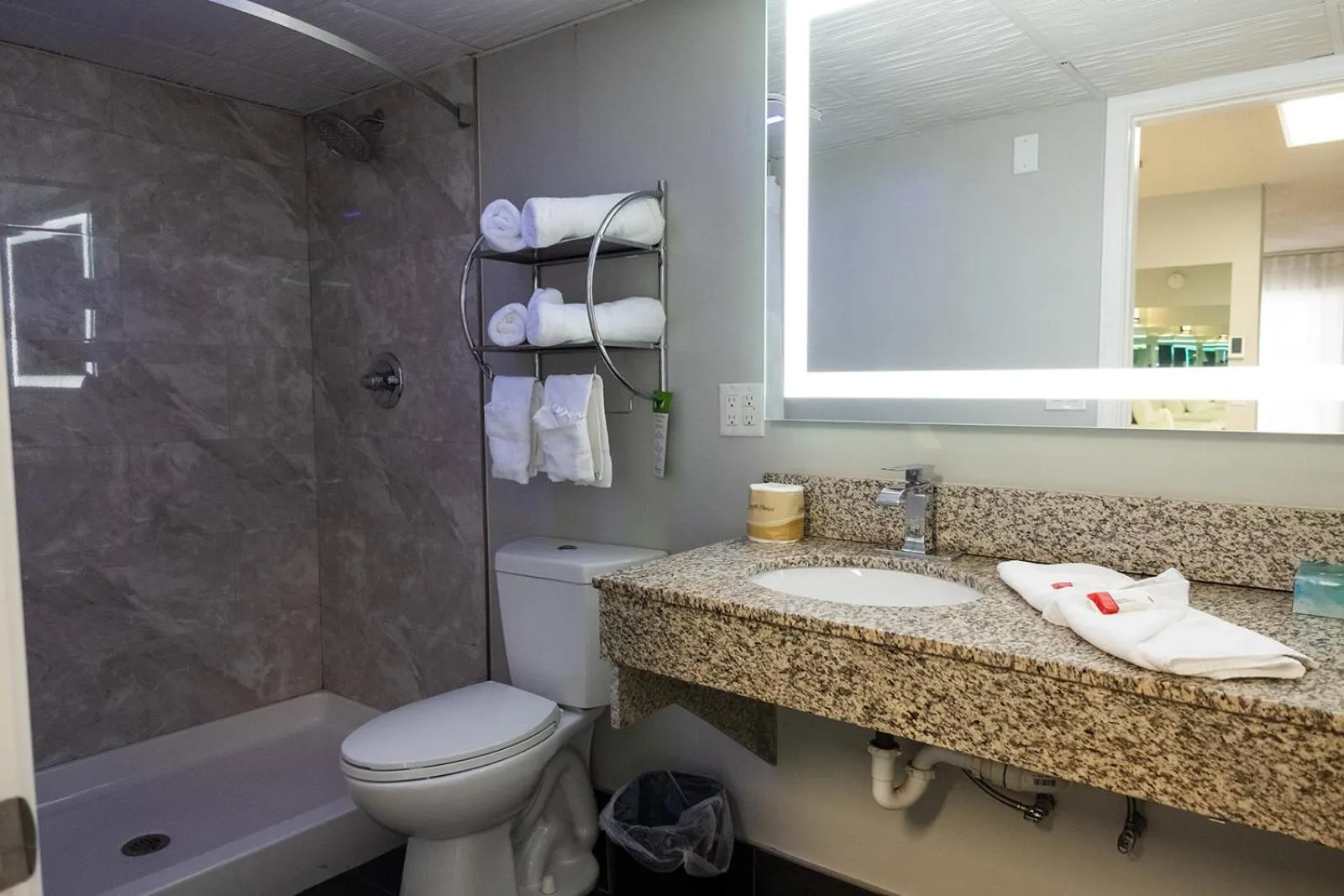 Bathroom in Envi Boutique Hotel Henderson-Evansville South