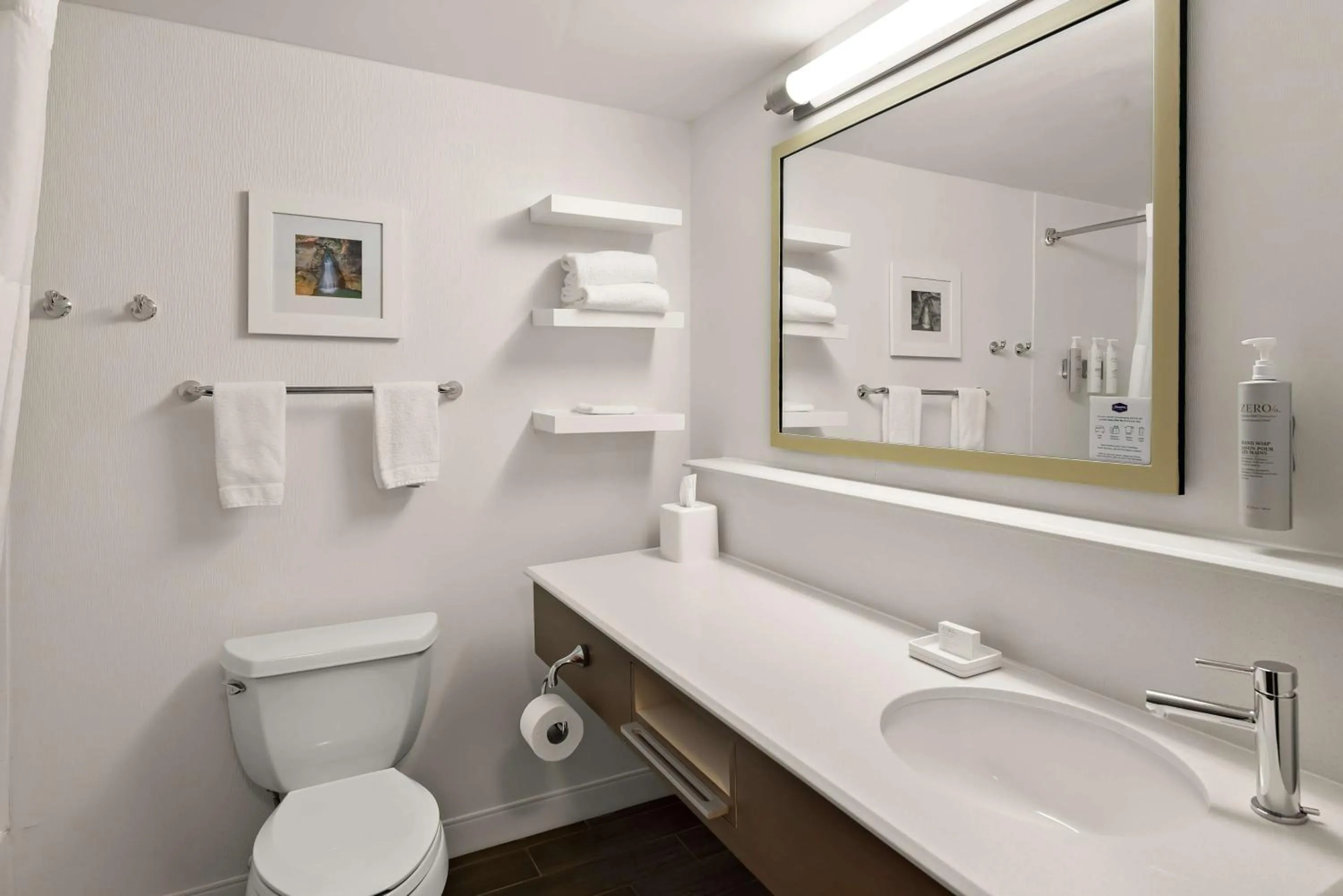 Bathroom in Hampton Inn Lancaster