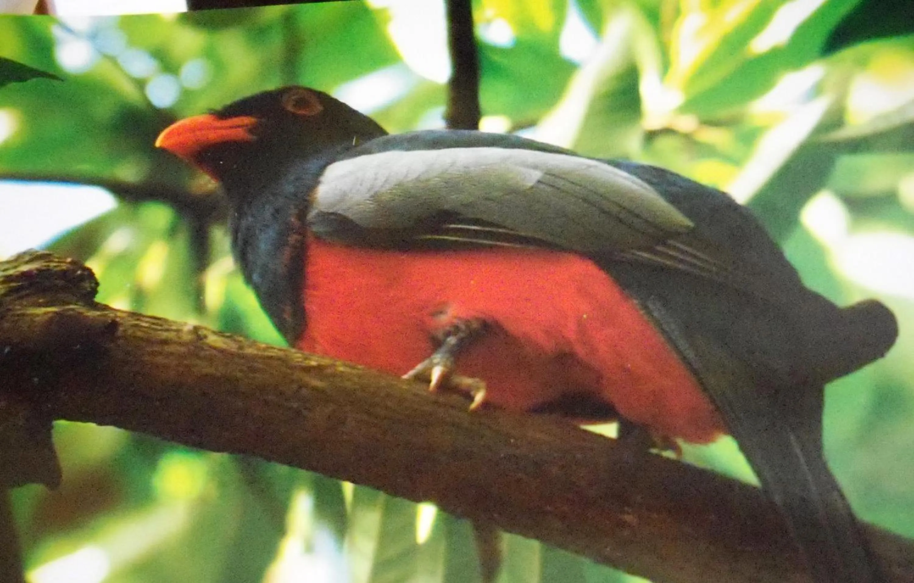 Natural landscape in Hotel Cuna del Angel