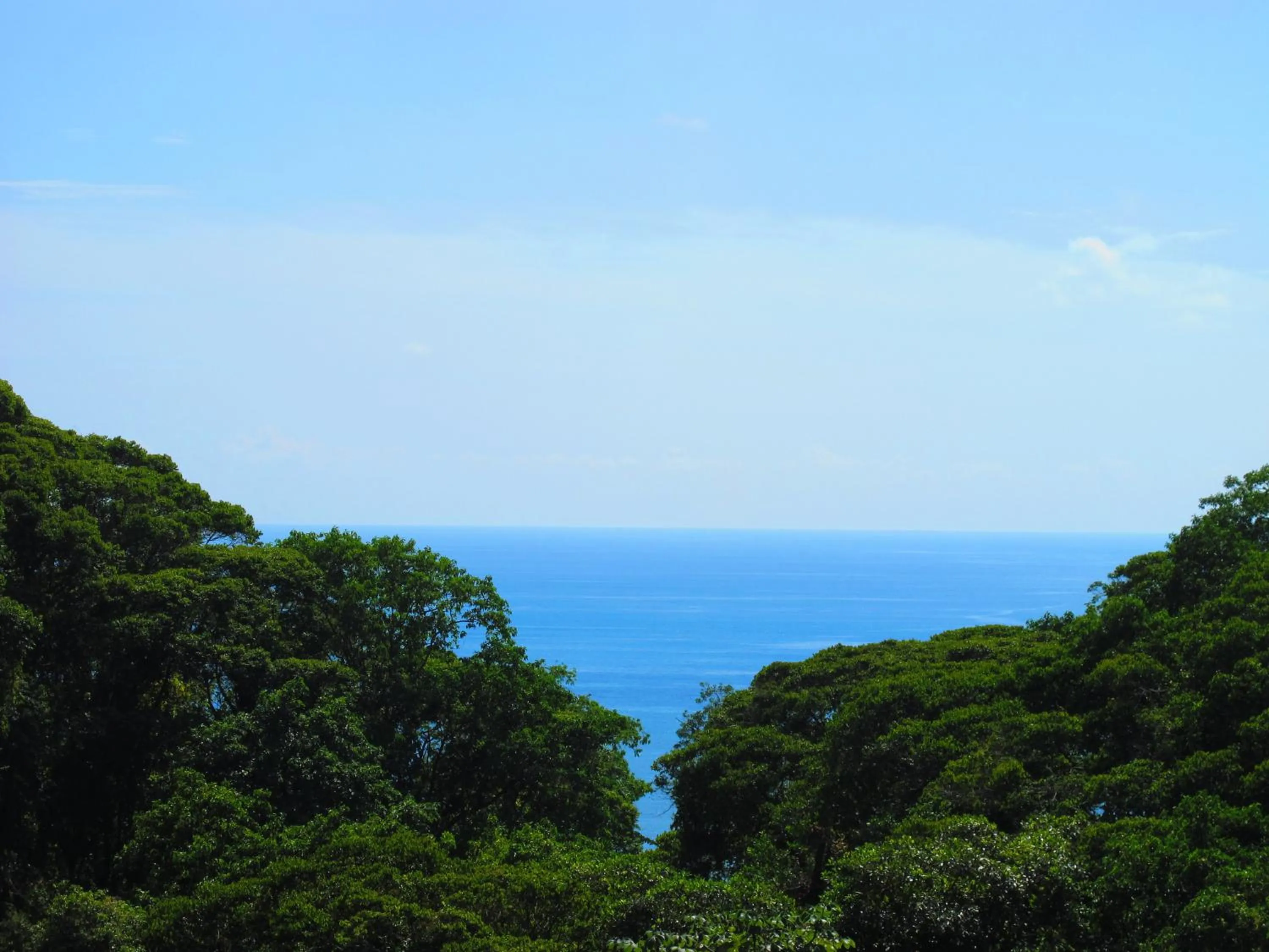 View (from property/room) in Hotel Cuna del Angel