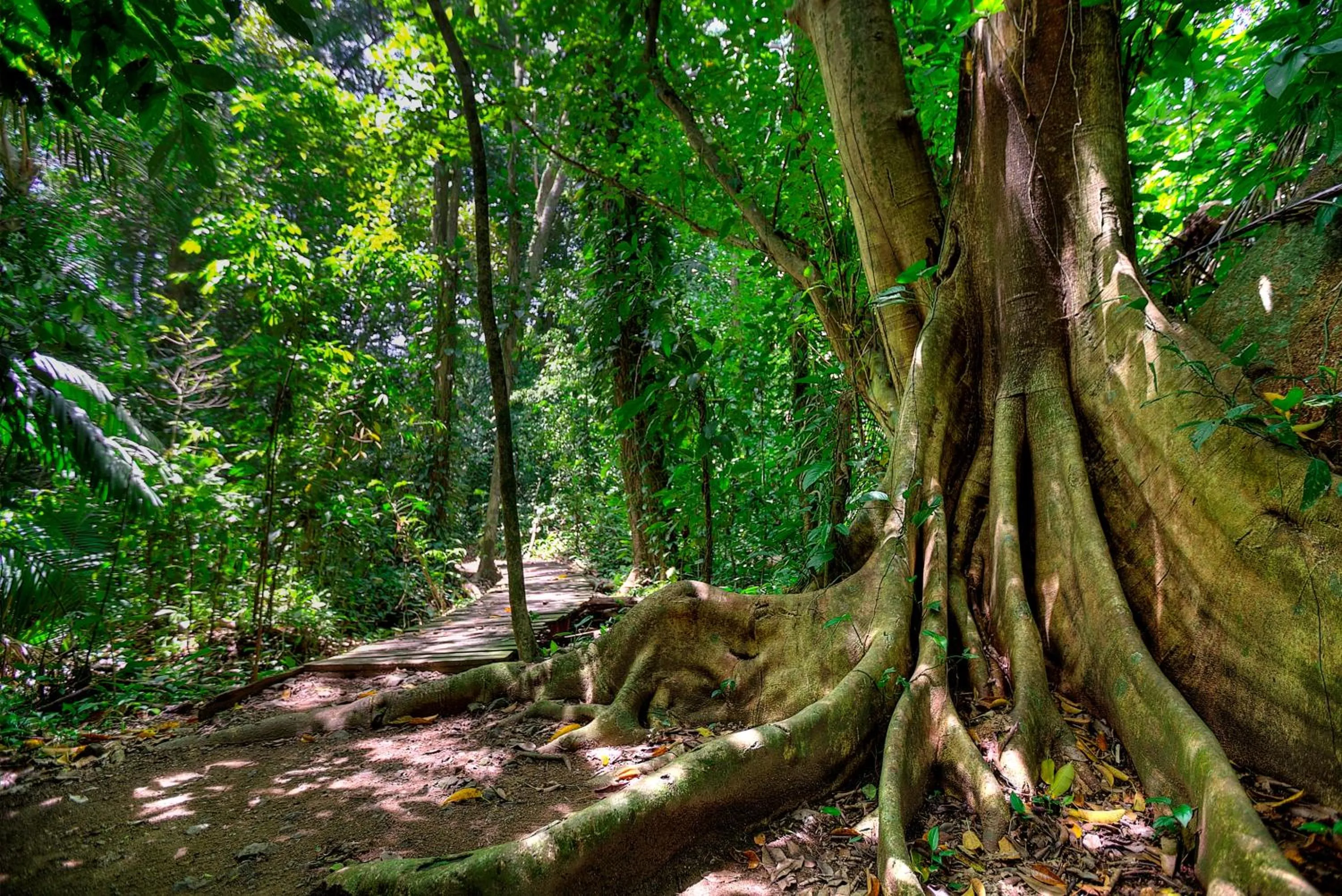 Hiking in Hotel Cuna del Angel