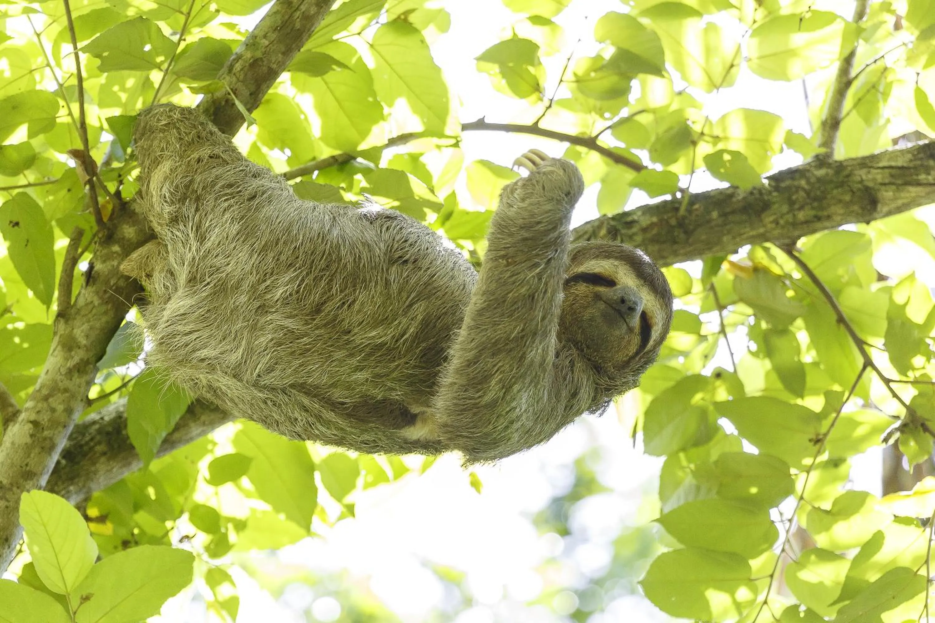 Nearby landmark in Hotel Cuna del Angel