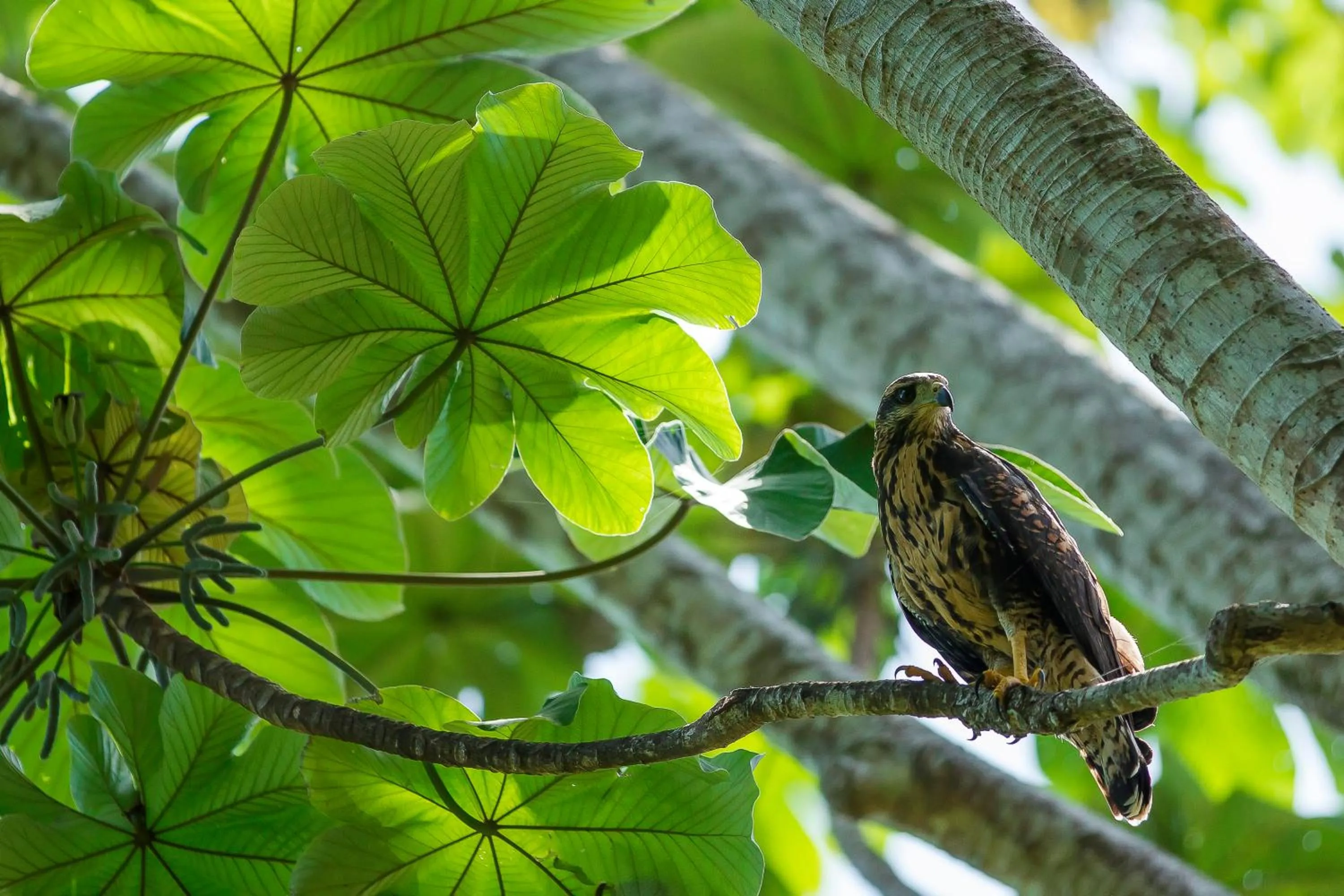 Other in Hotel Cuna del Angel