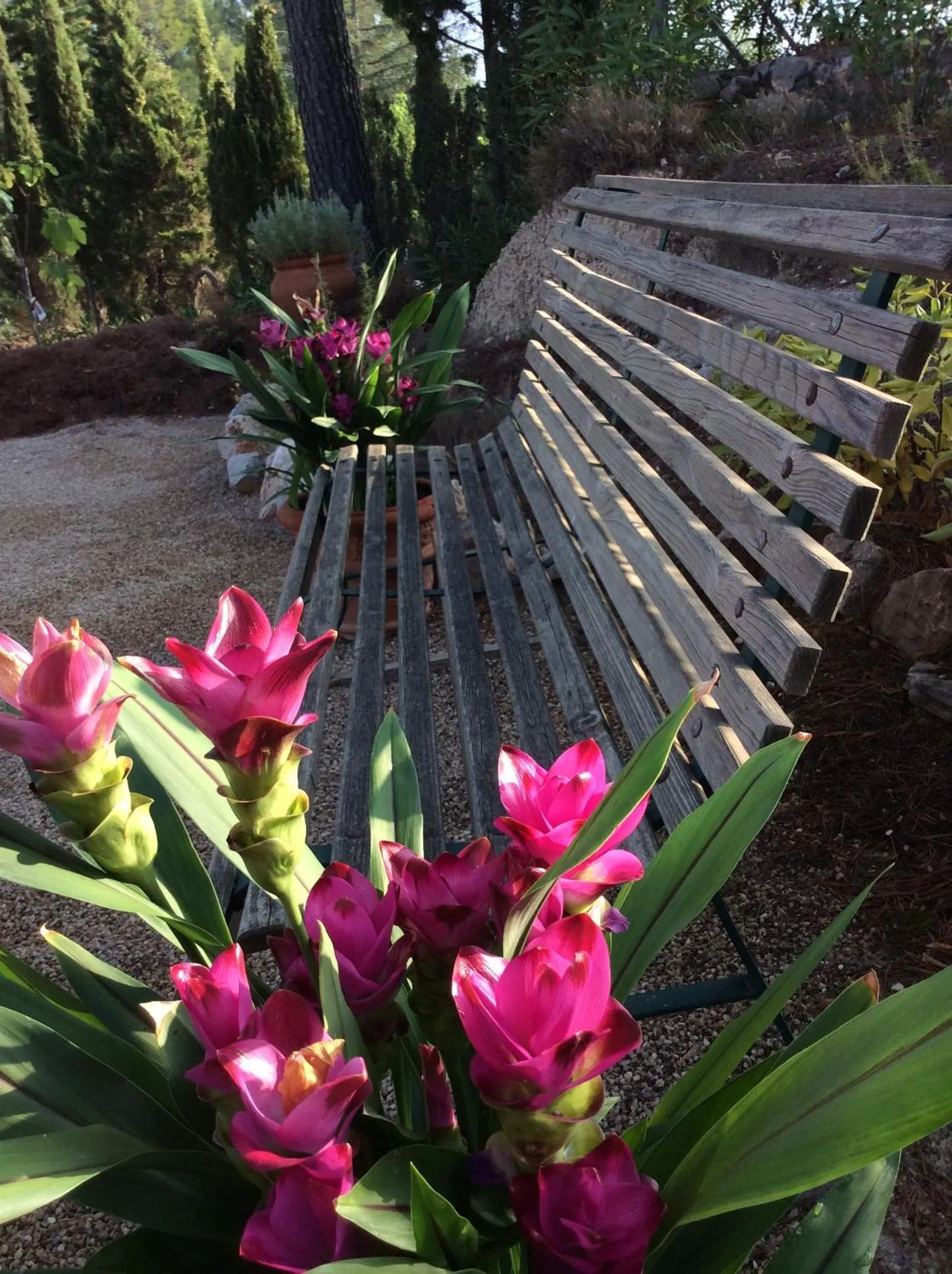 Property building in Casa Jetizo