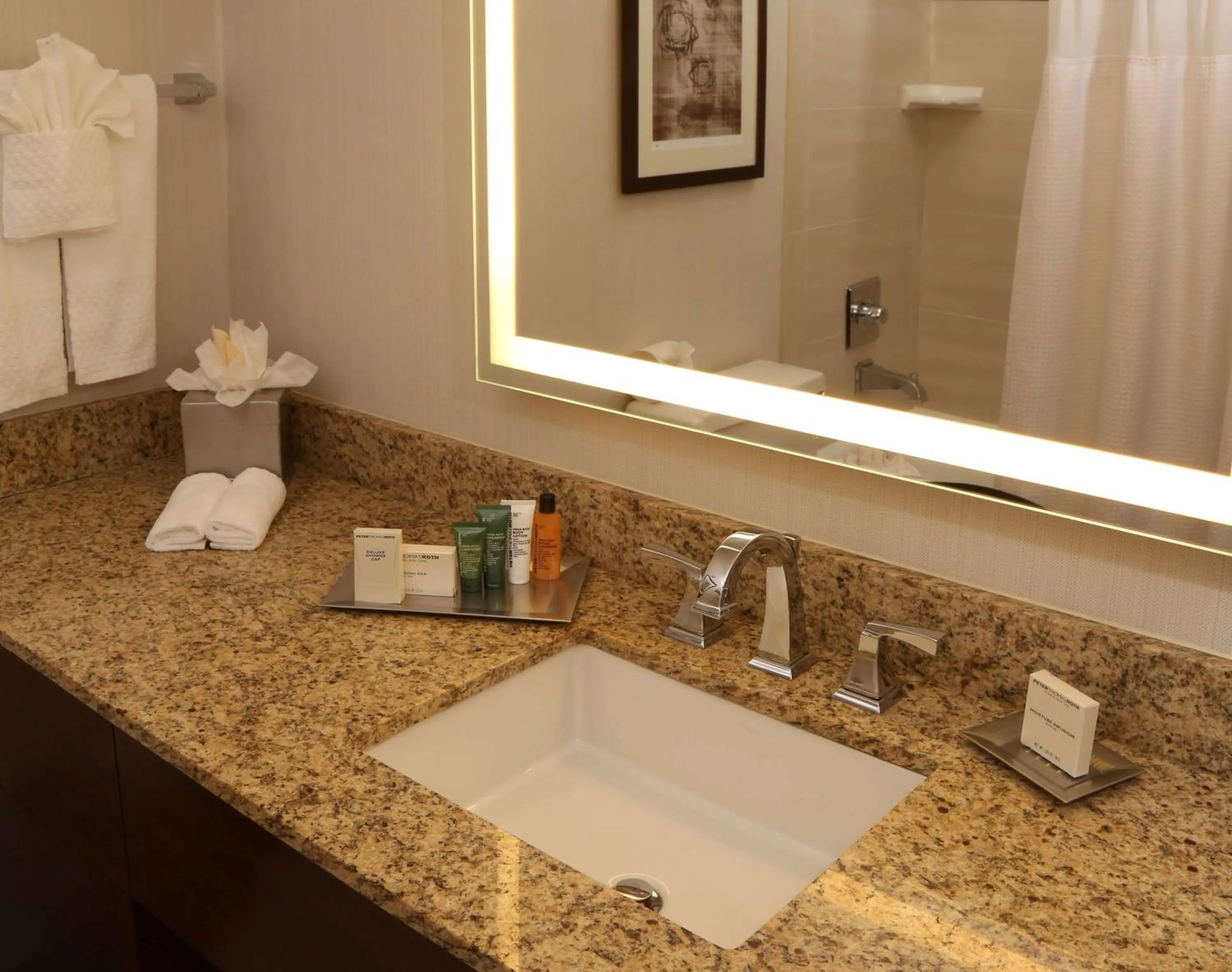 Bathroom in Hilton Kansas City Airport