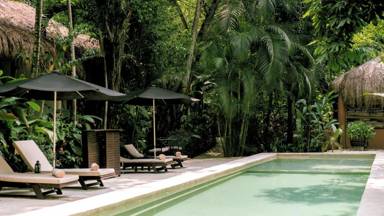 Swimming pool in Piedra de Agua Palenque