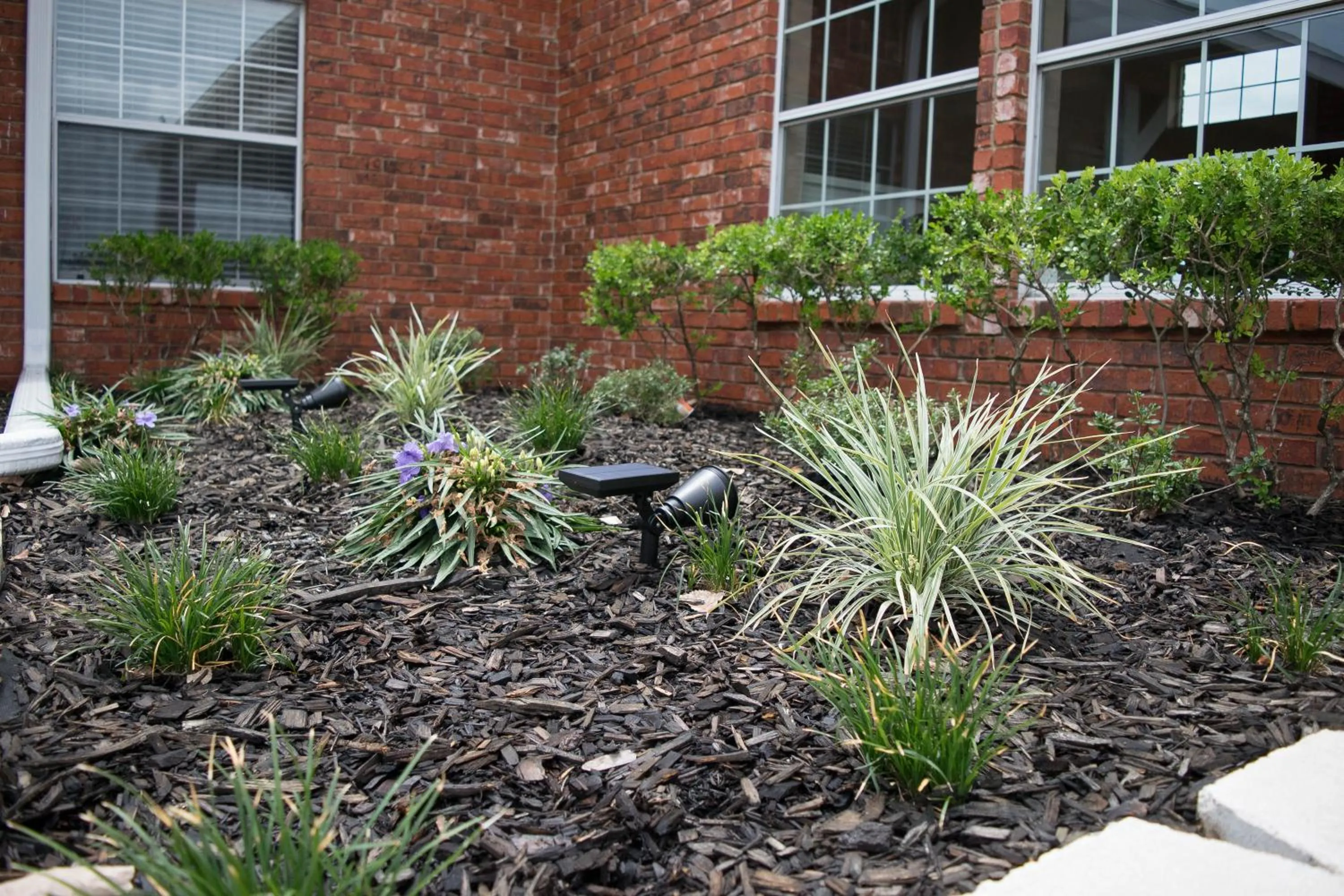 Garden in Countryside Inn
