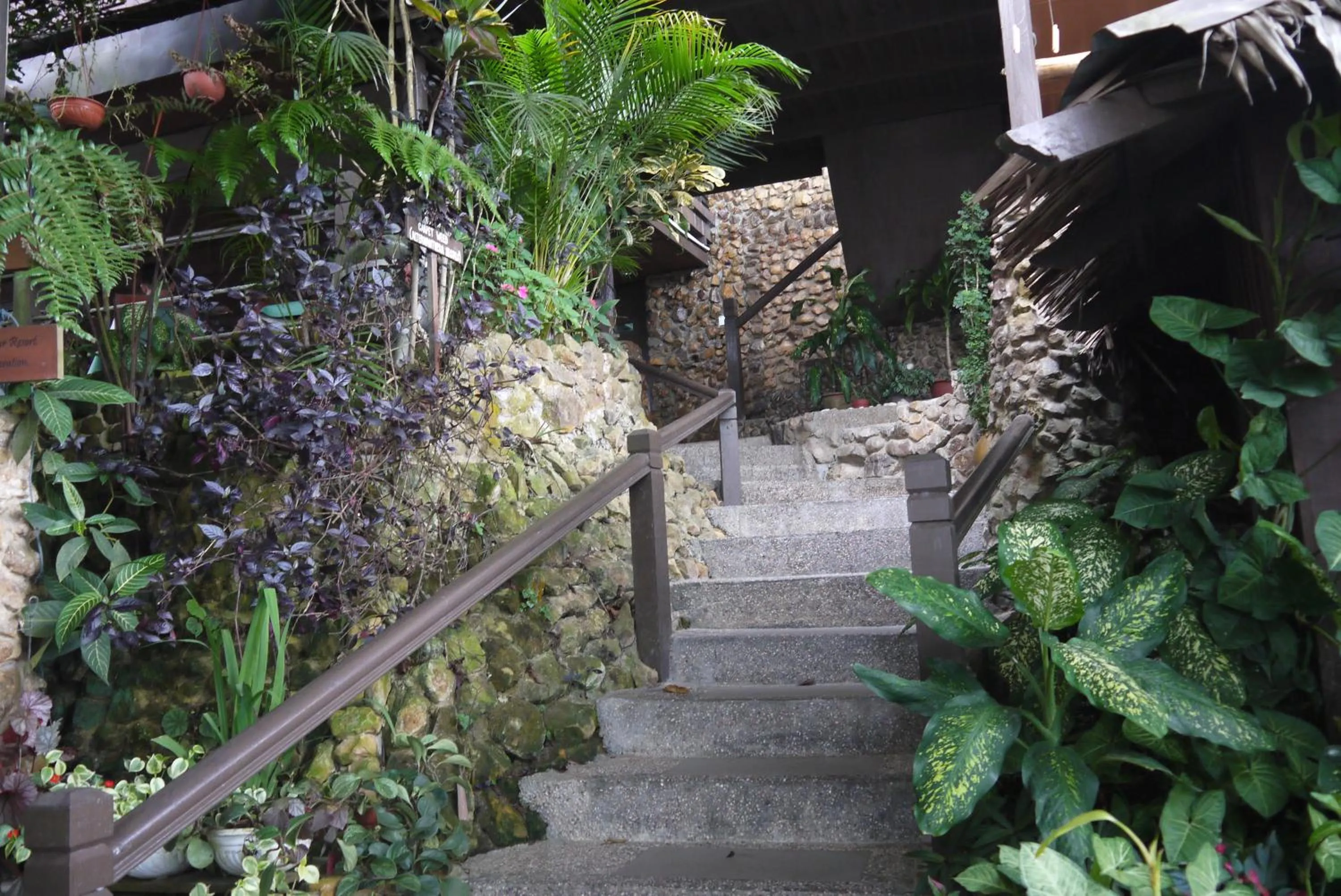 Kasih Sayang Hill Resort