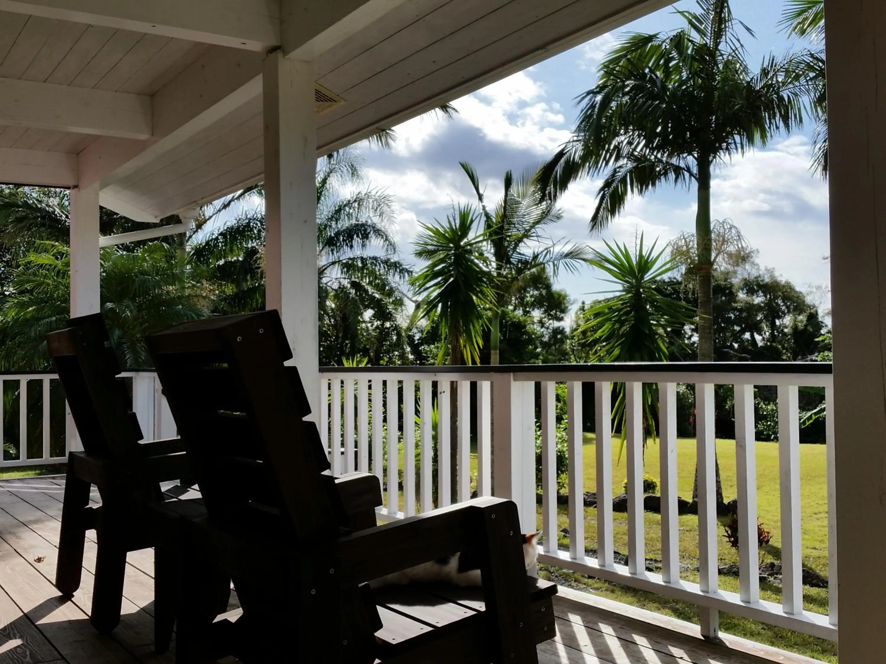 Balcony/Terrace in Hana Mana