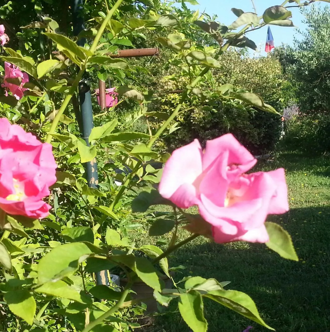 Garden view in Chambres d'Hôtes de Curnier