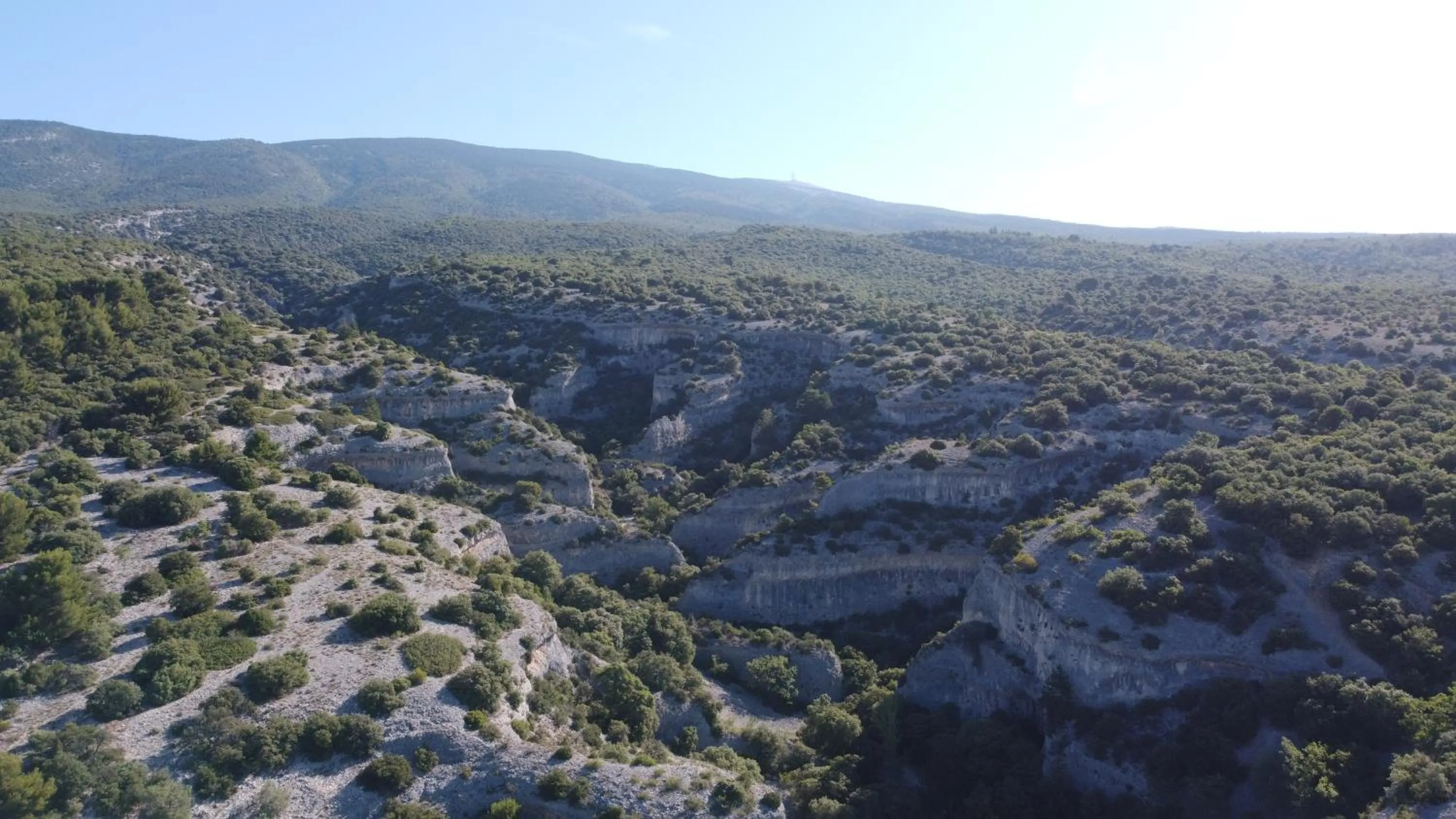 Chambres d'Hôtes de Curnier
