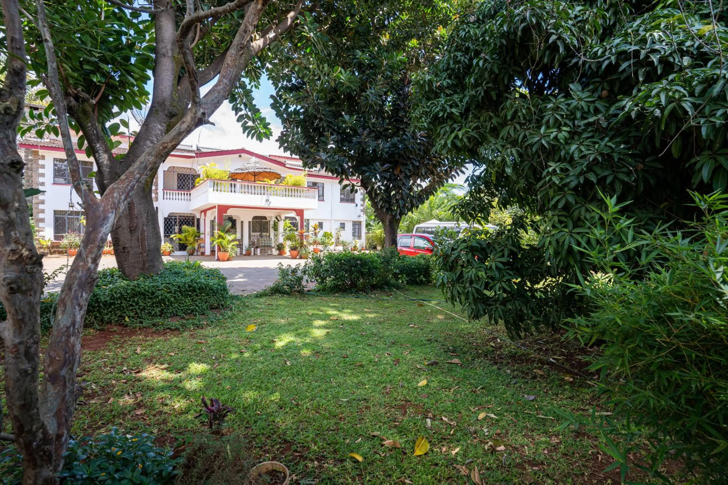 Garden in Bonsai Villa