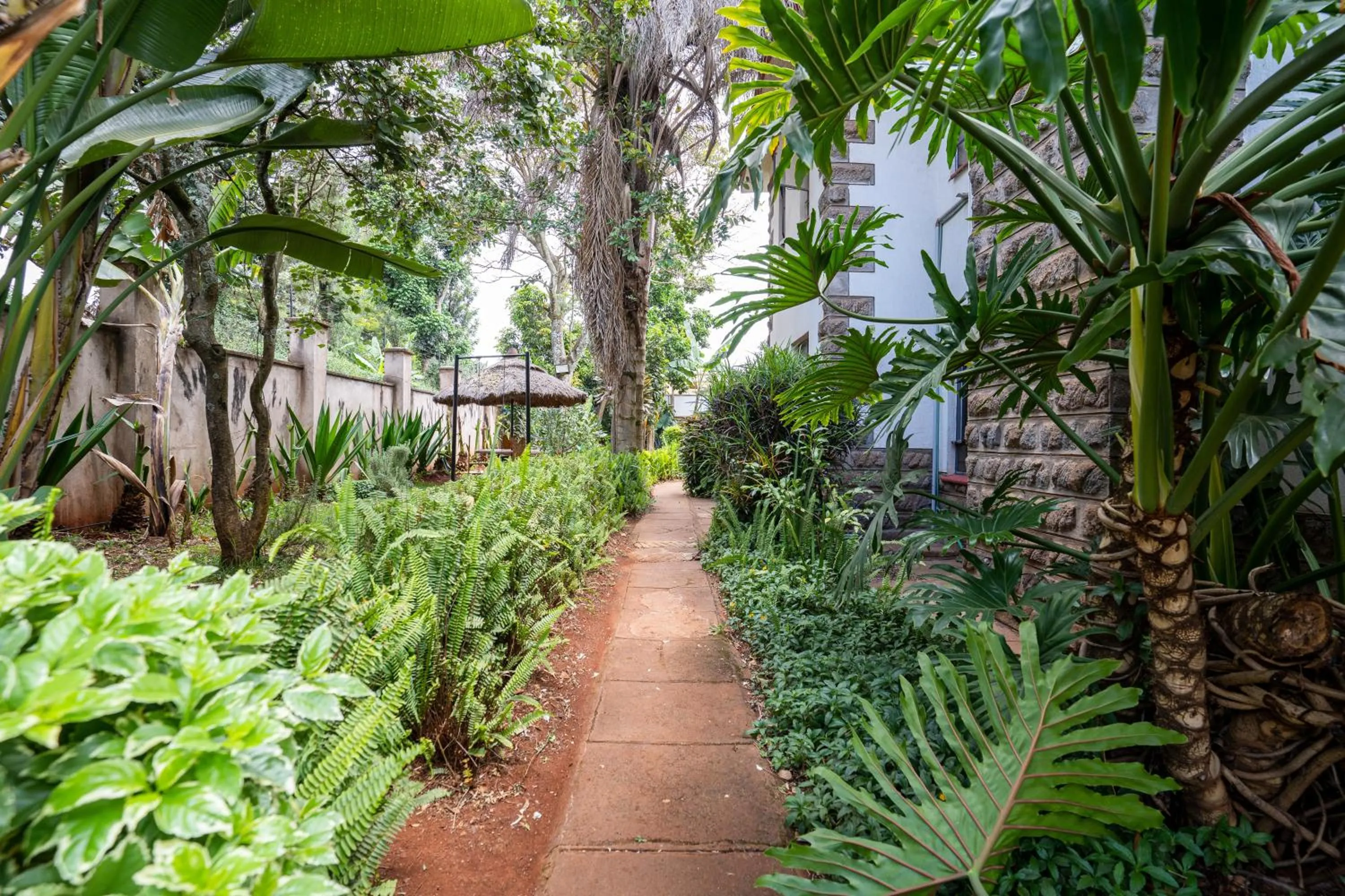 Garden in Bonsai Villa