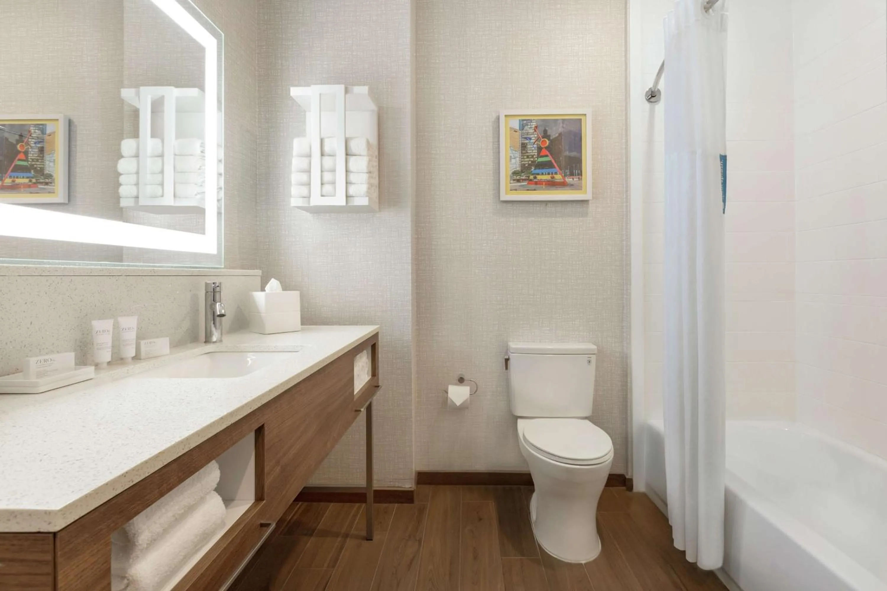 Bathroom in Hampton Inn & Suites Houston-Cypress Station