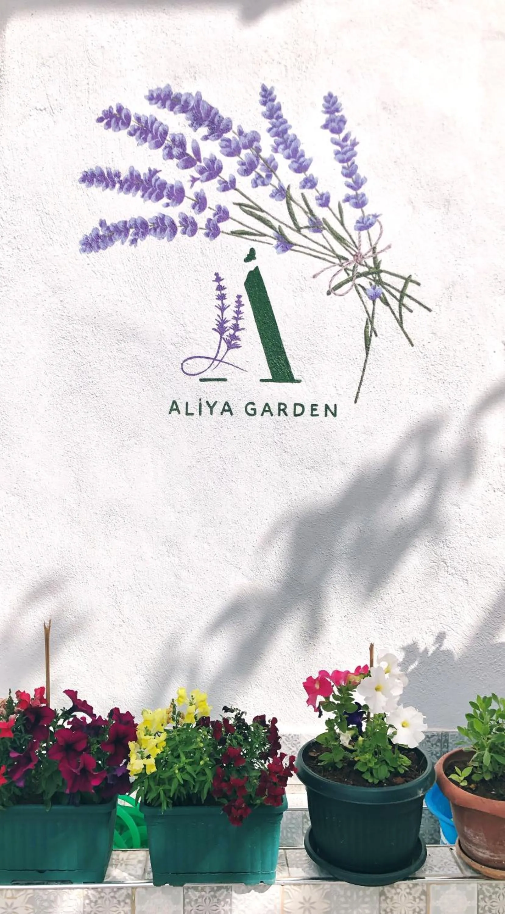 Aliya Konak - Köy Evi ve Lezzetleri