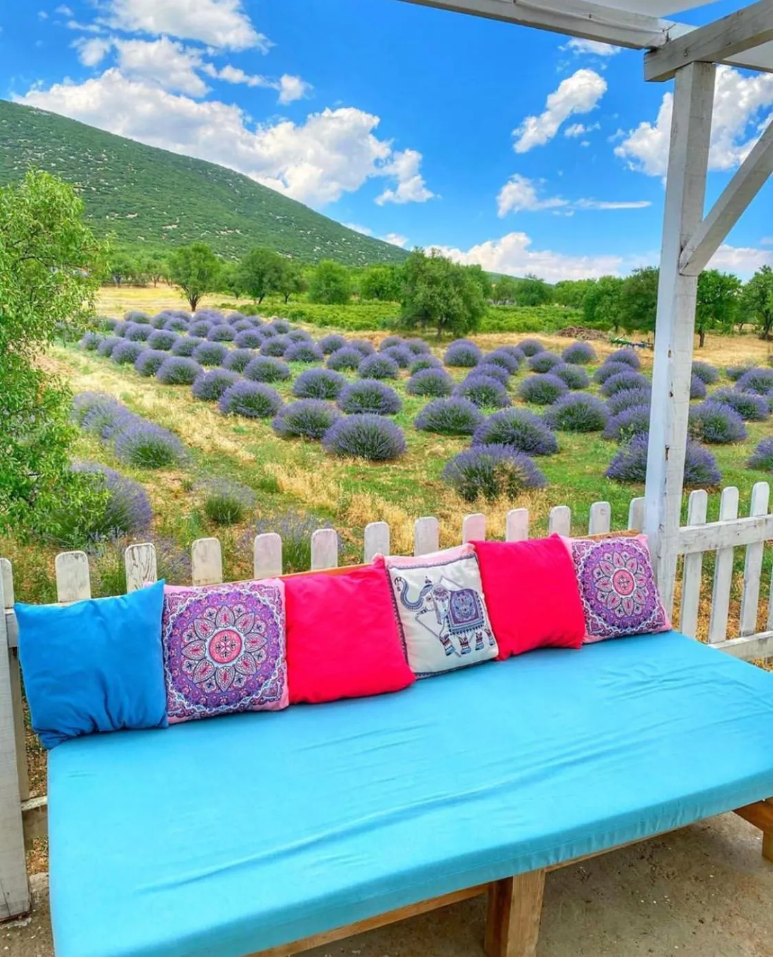 Aliya Konak - Köy Evi ve Lezzetleri