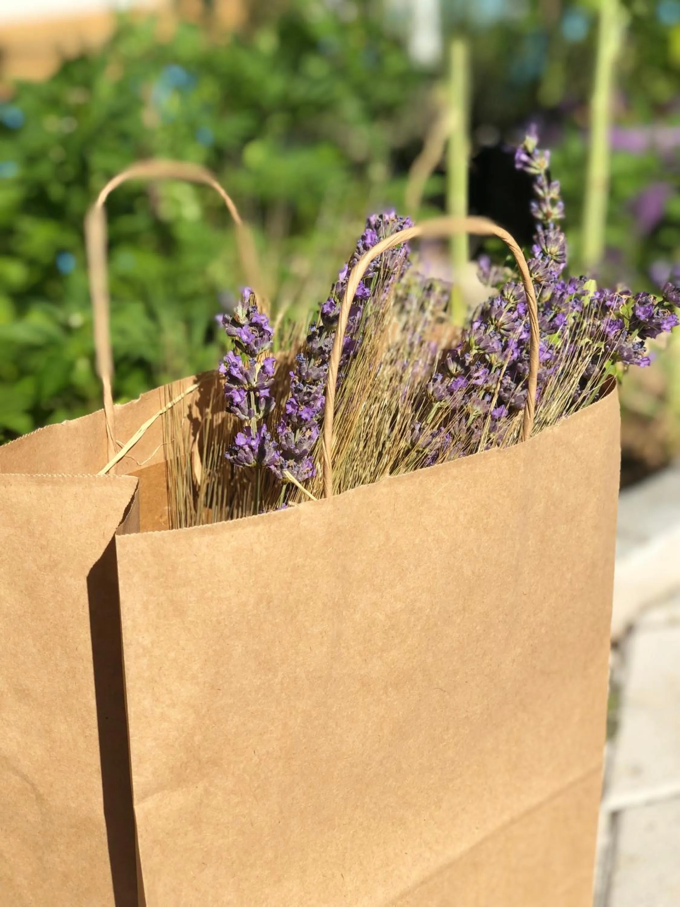 Aliya Konak - Köy Evi ve Lezzetleri