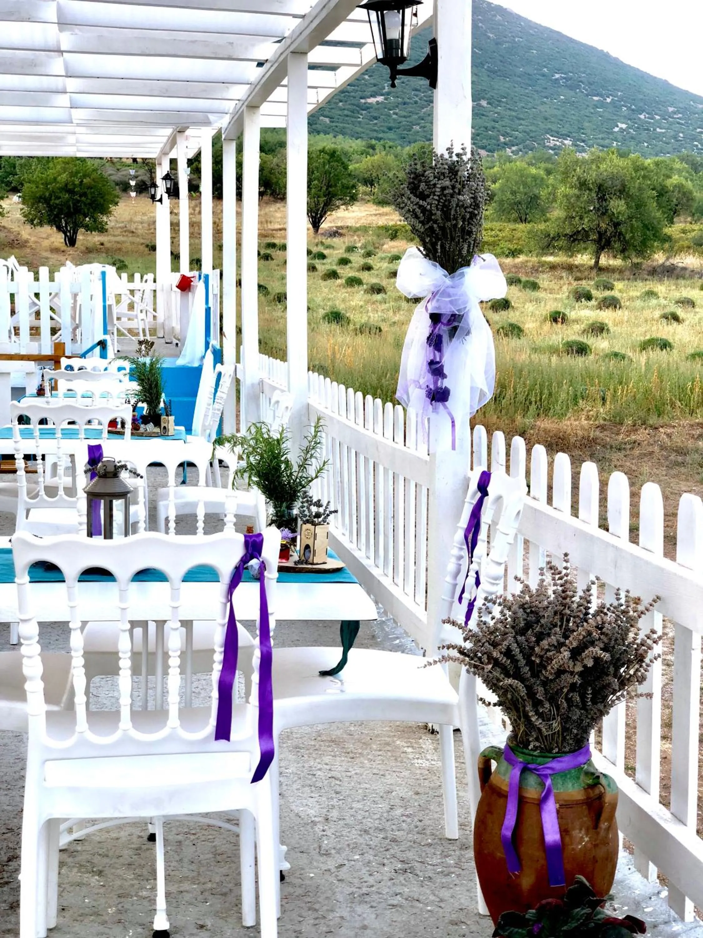 Aliya Konak - Köy Evi ve Lezzetleri