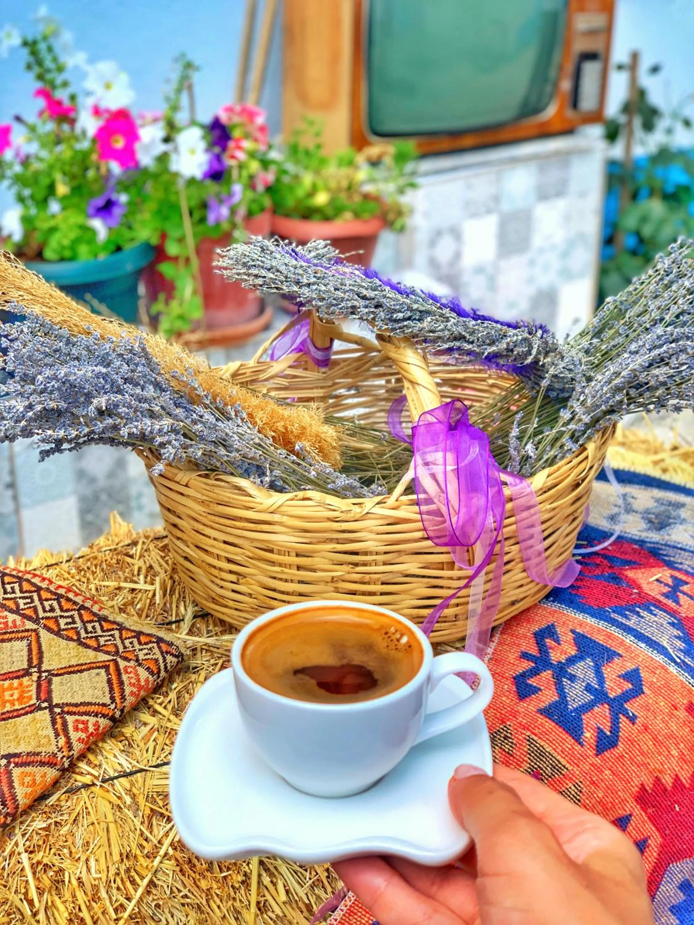 Aliya Konak - Köy Evi ve Lezzetleri