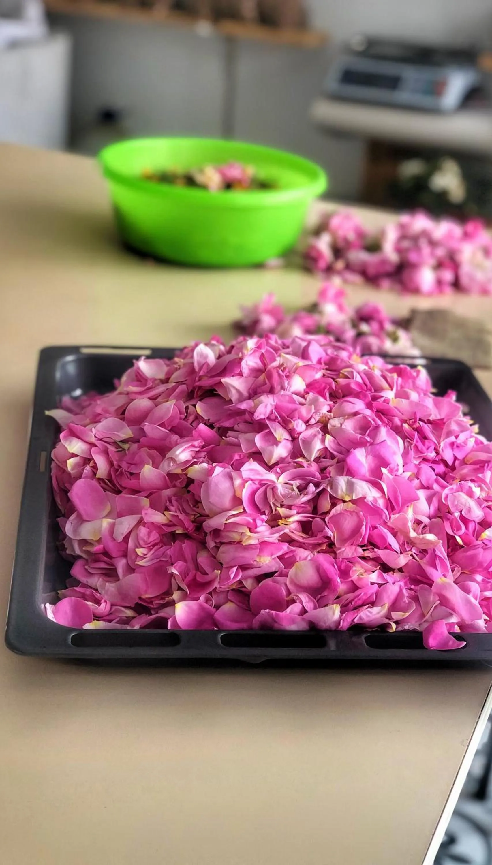 Aliya Konak - Köy Evi ve Lezzetleri