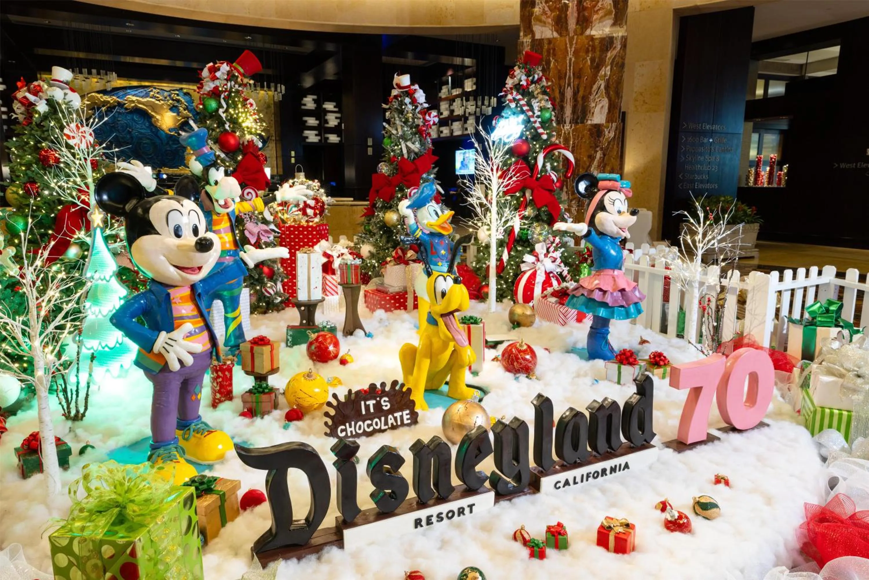 Lobby or reception in Hilton Americas - Houston