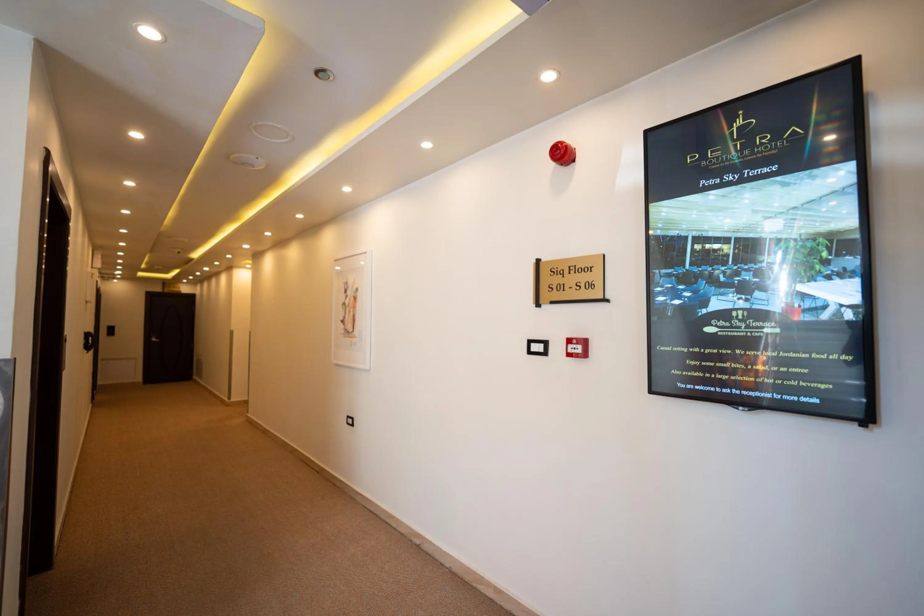 TV and multimedia in Petra Boutique Hotel