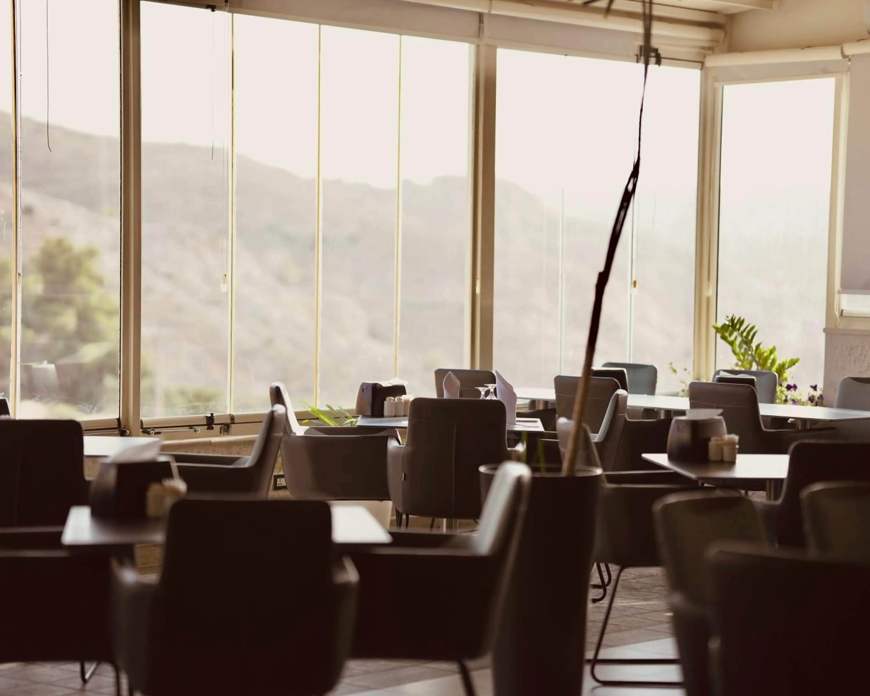 Restaurant/places to eat in Petra Boutique Hotel