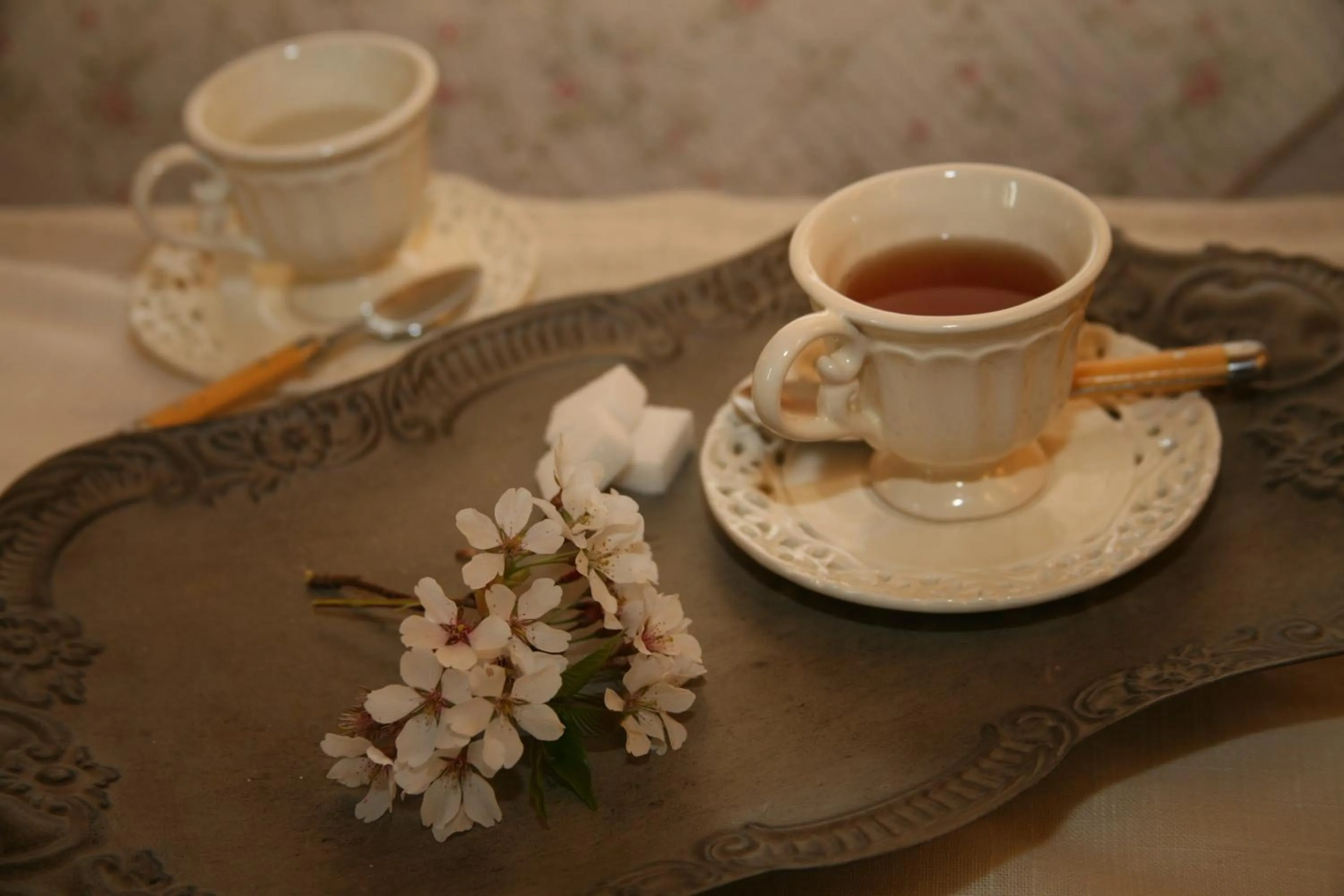 Other in Chambres "Au Jardin"