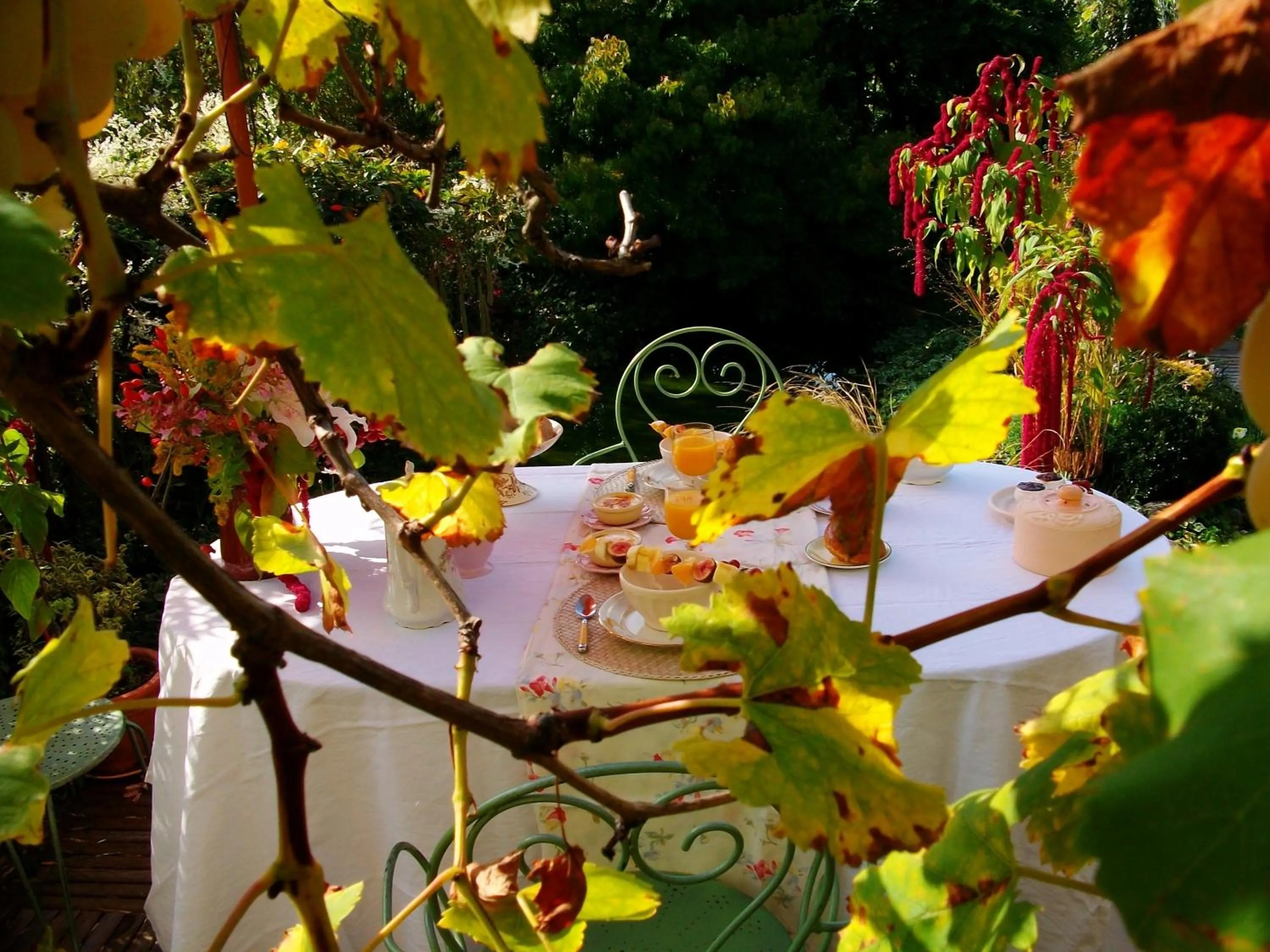 Food in Chambres "Au Jardin"