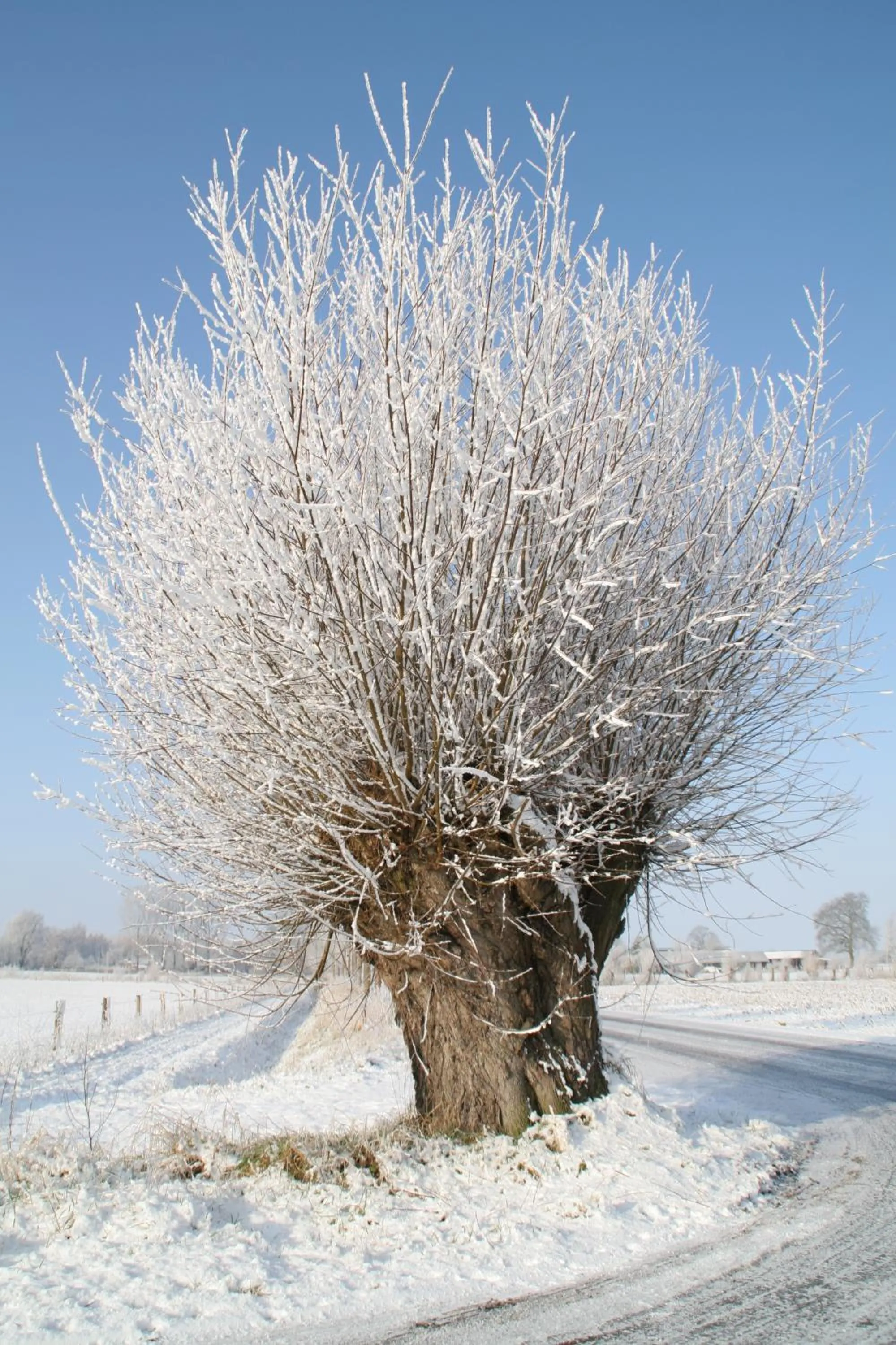 Day in Gastenverblijf Eenink