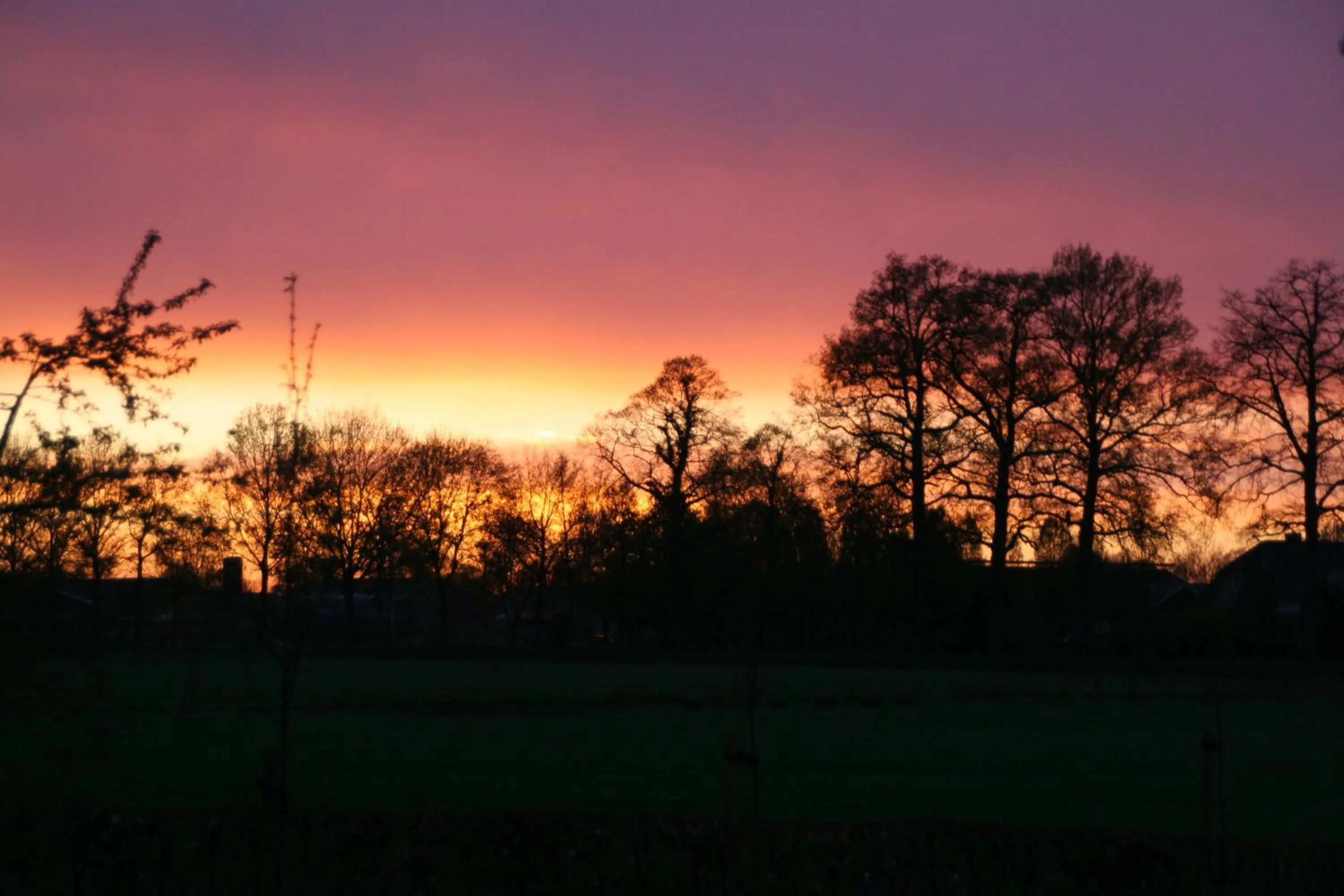 Spring in Gastenverblijf Eenink