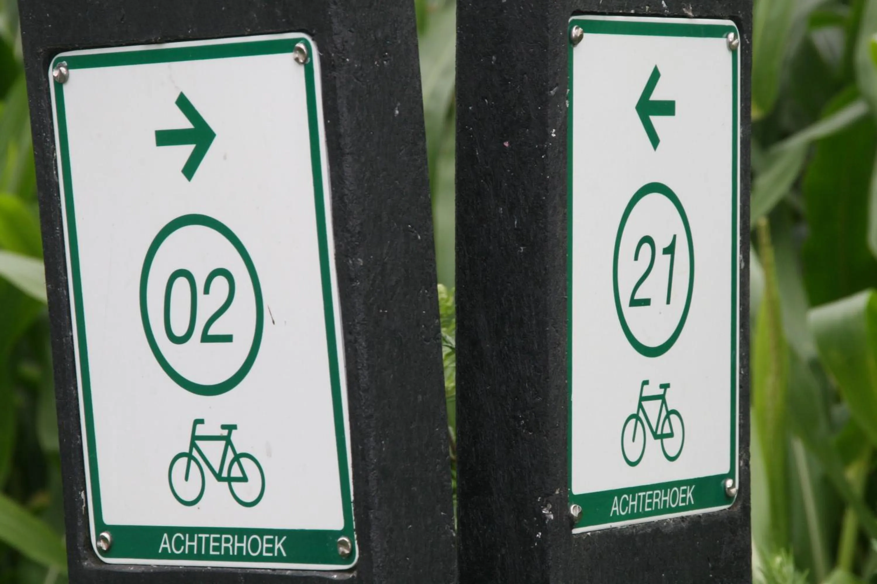 Cycling in Gastenverblijf Eenink