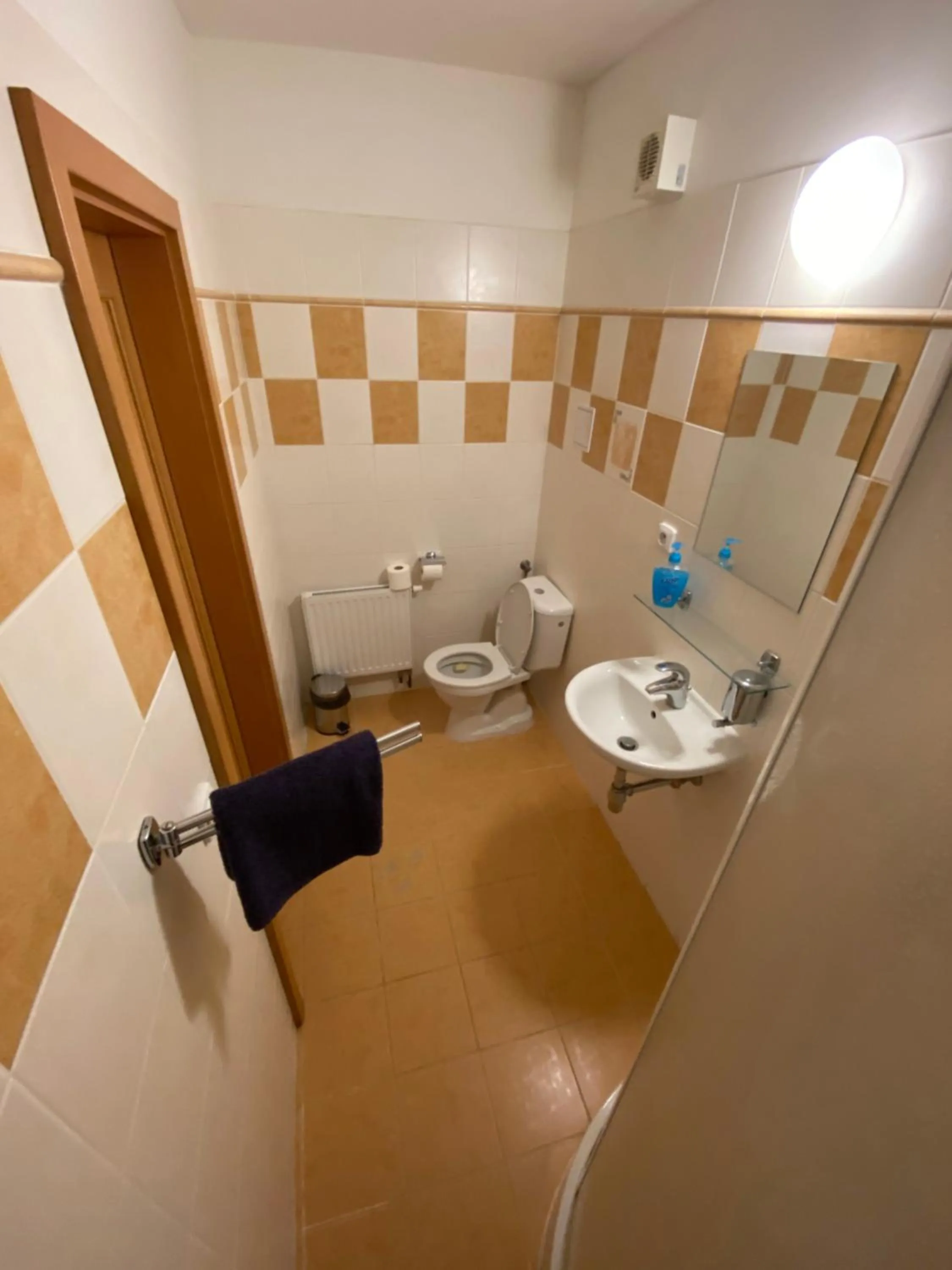 Toilet in Hotel Zlatý Chlum