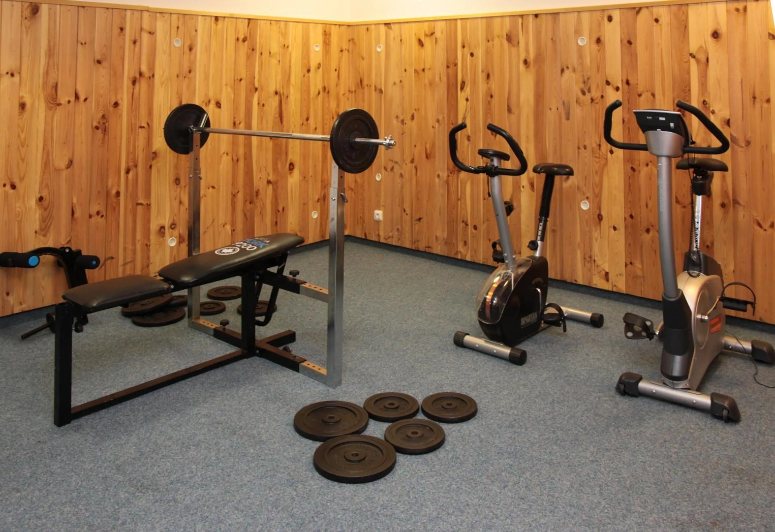 Fitness centre/facilities in Hotel Zlatý Chlum