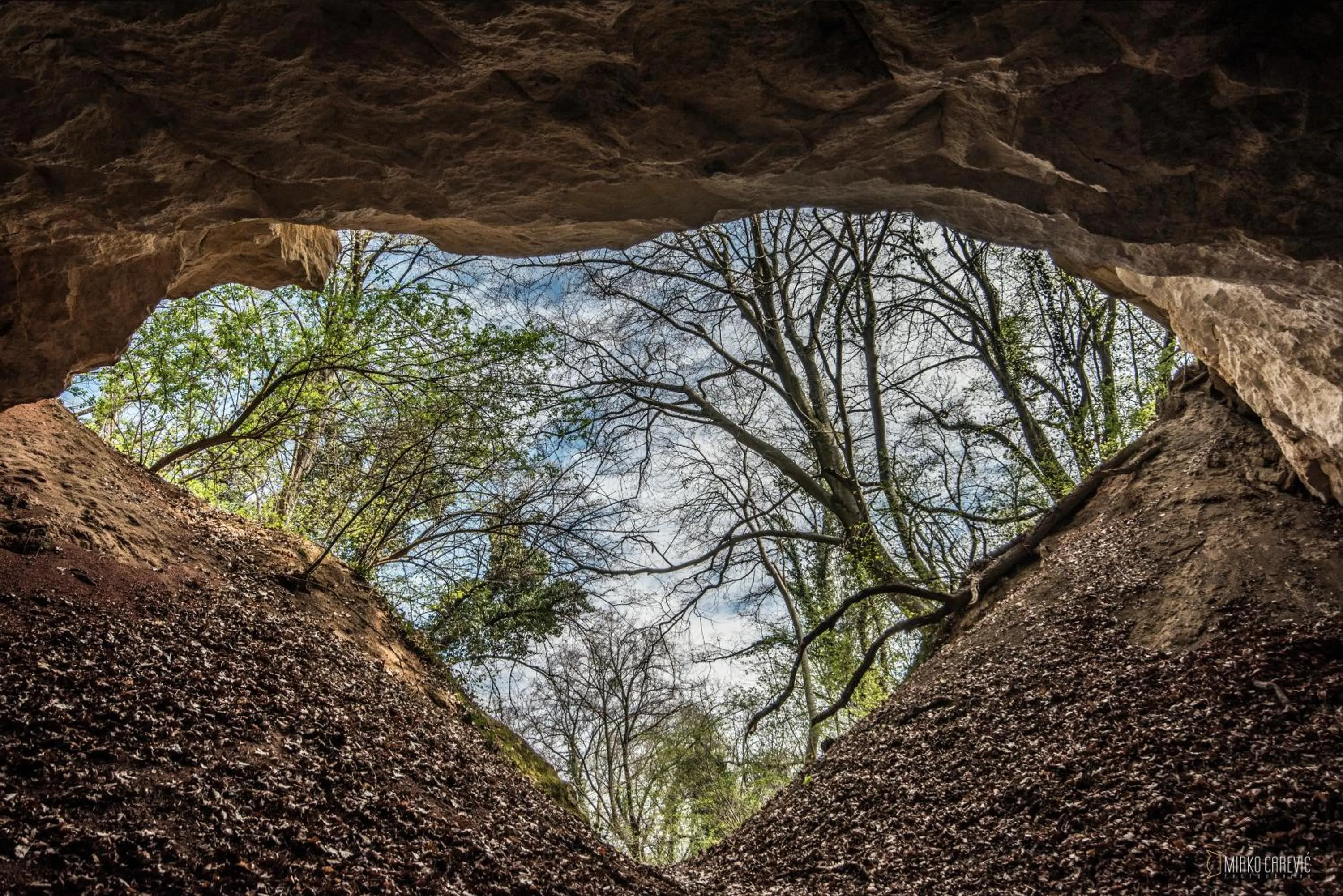 Other in Hotel Premier Aqua - Adults Only