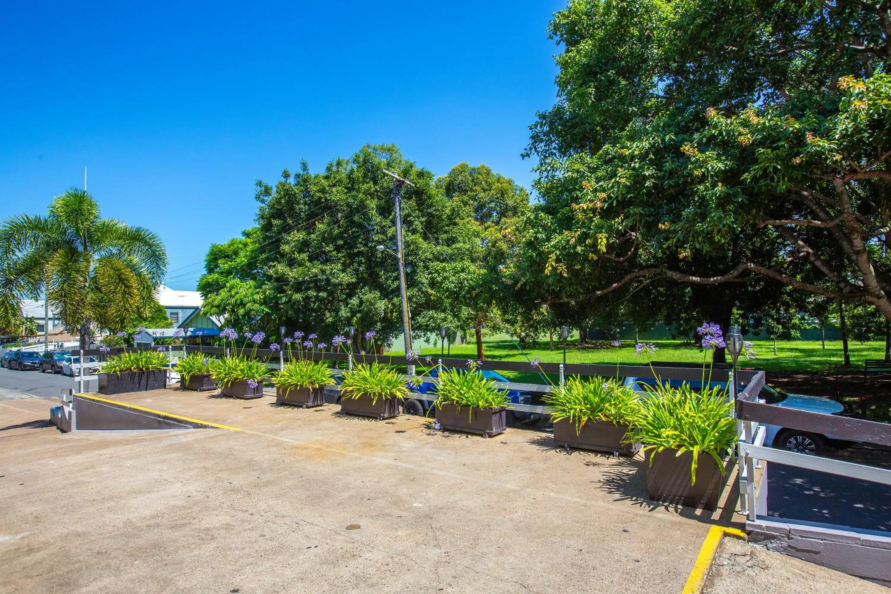 Spring in City Star Lodge