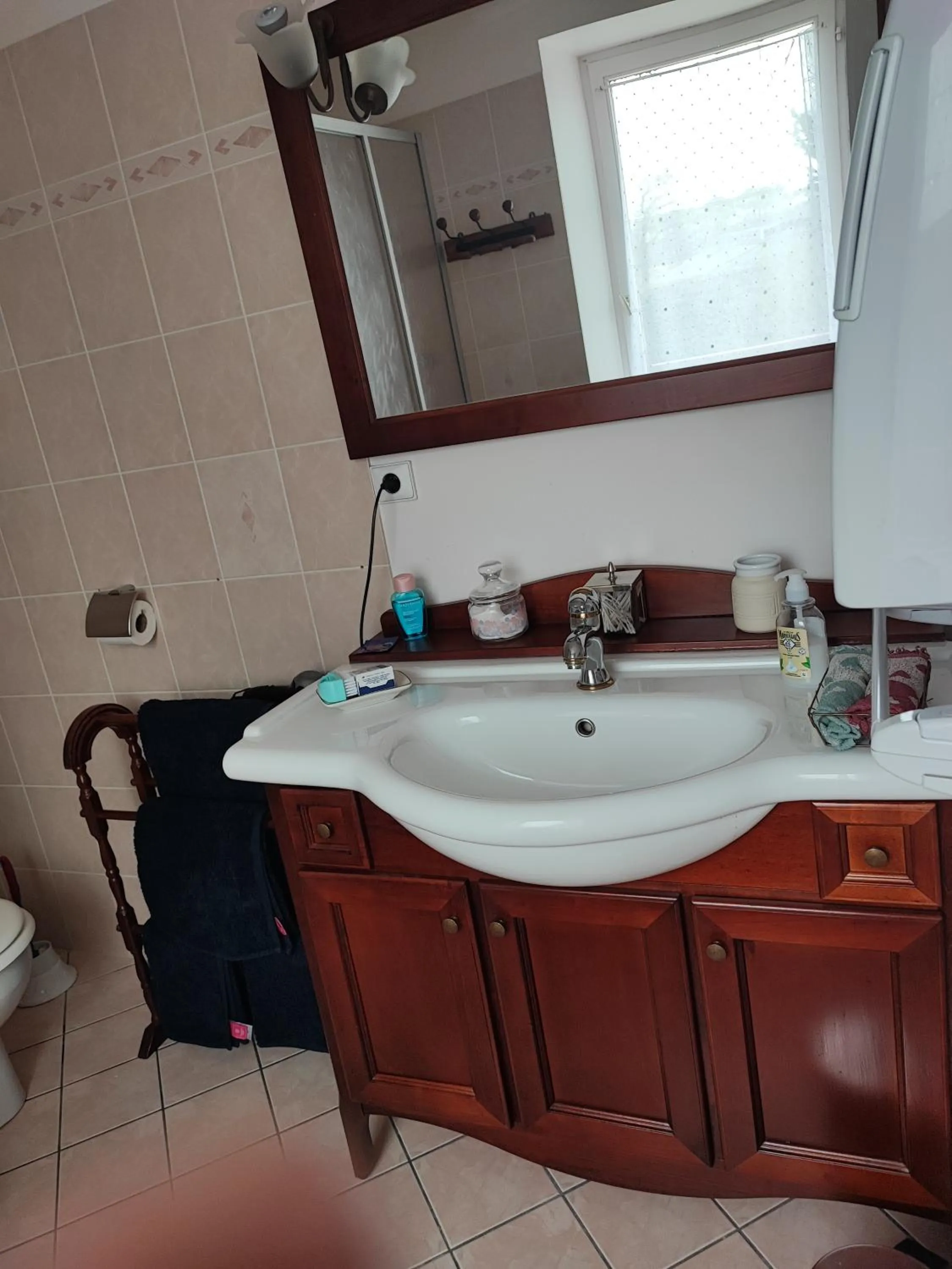 Les Hortensias de Kerbarch