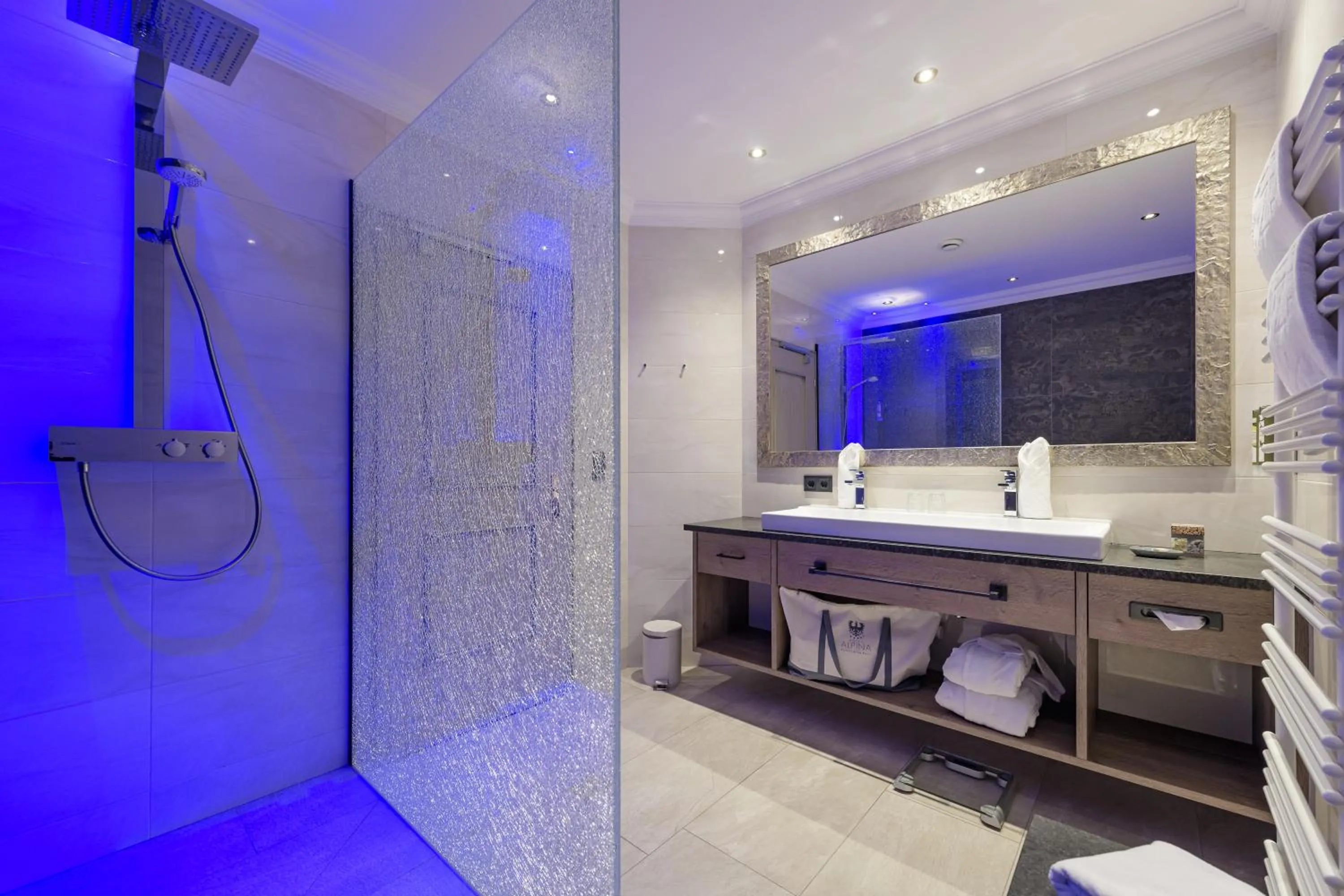 Shower in Hotel Alpina Wellness & Spa Resort