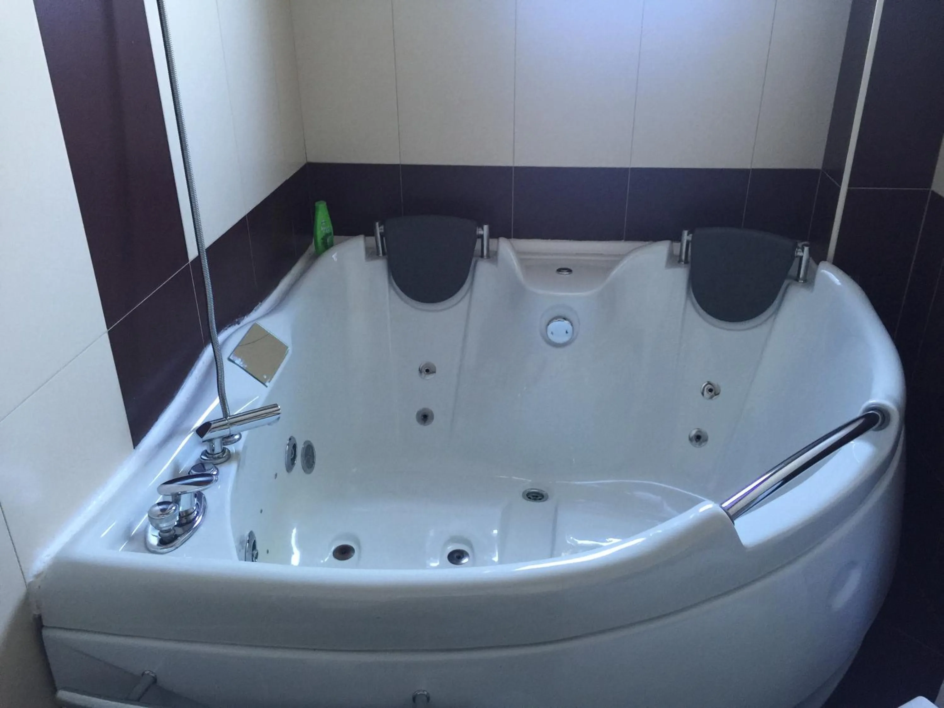 Bathroom in Hotel Adria