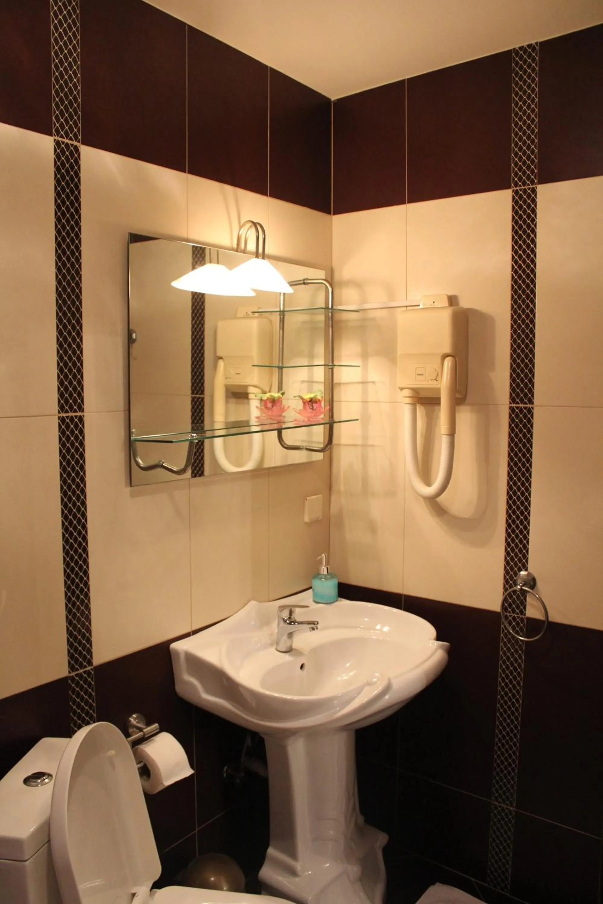 Bathroom in Hotel Adria