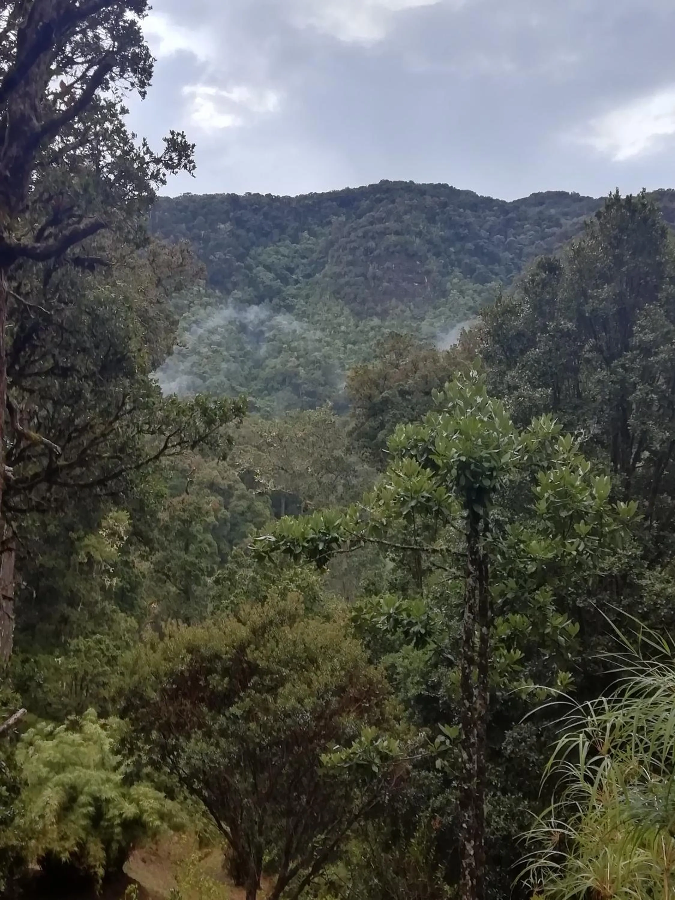 Natural landscape in Miriam'S Quetzals lodge