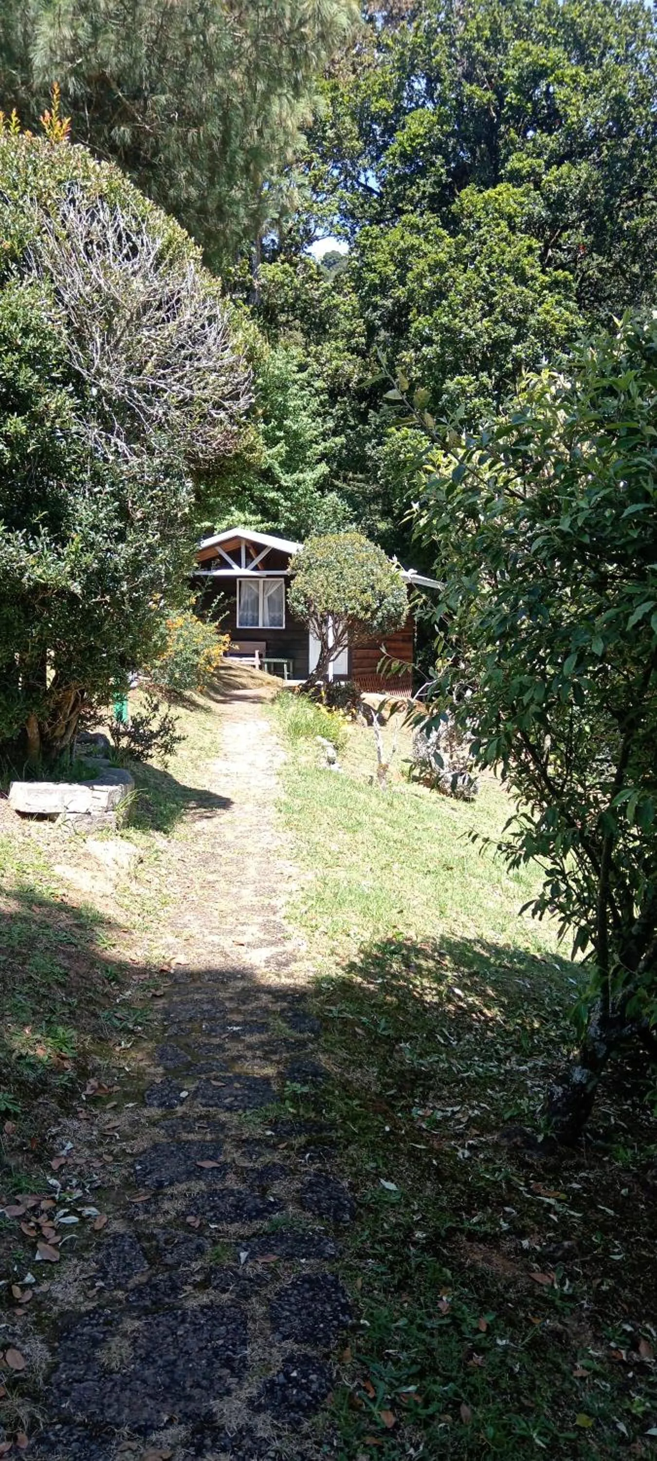 Miriam'S Quetzals lodge